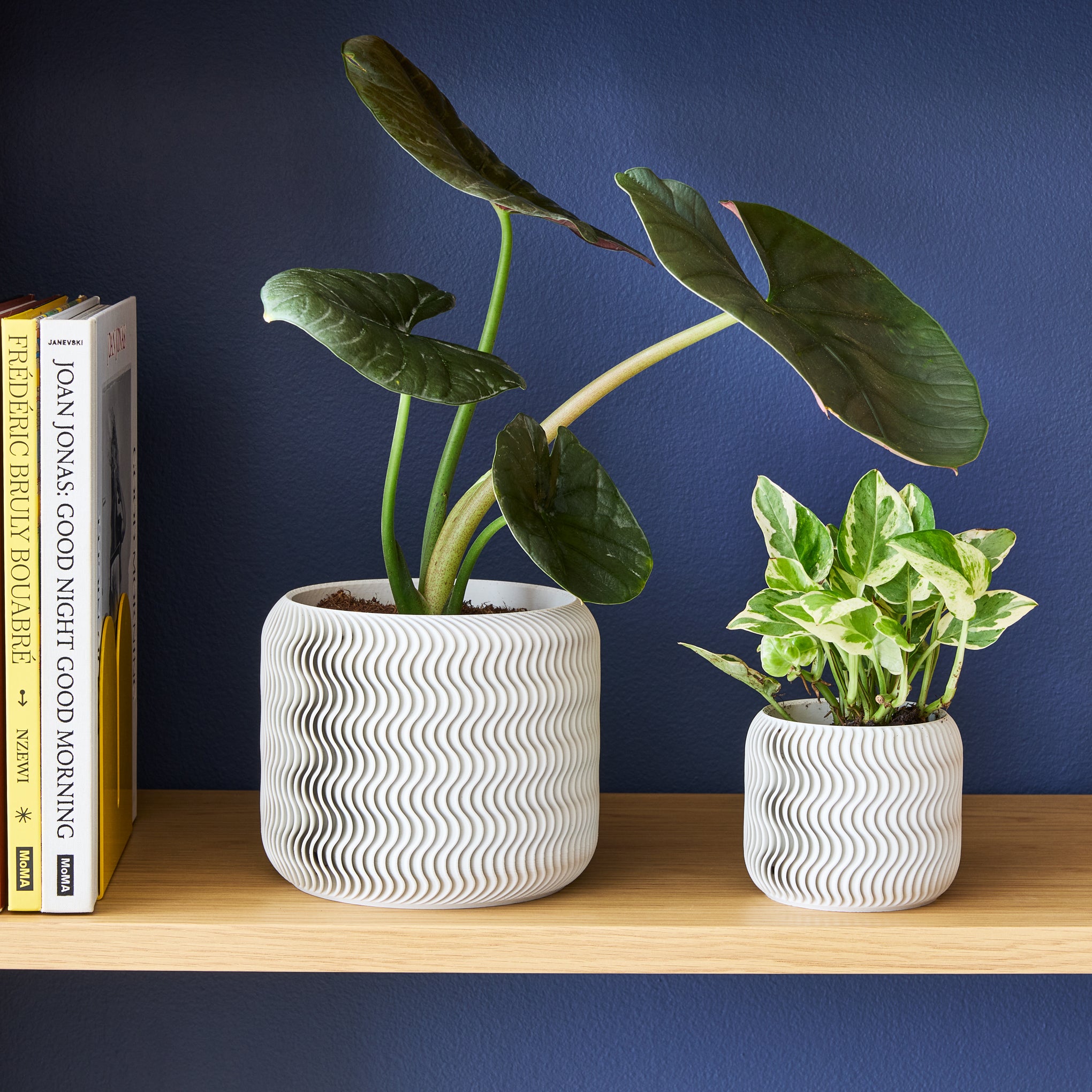 Wavy Pine 3D-Printed Planter - White - Image 8