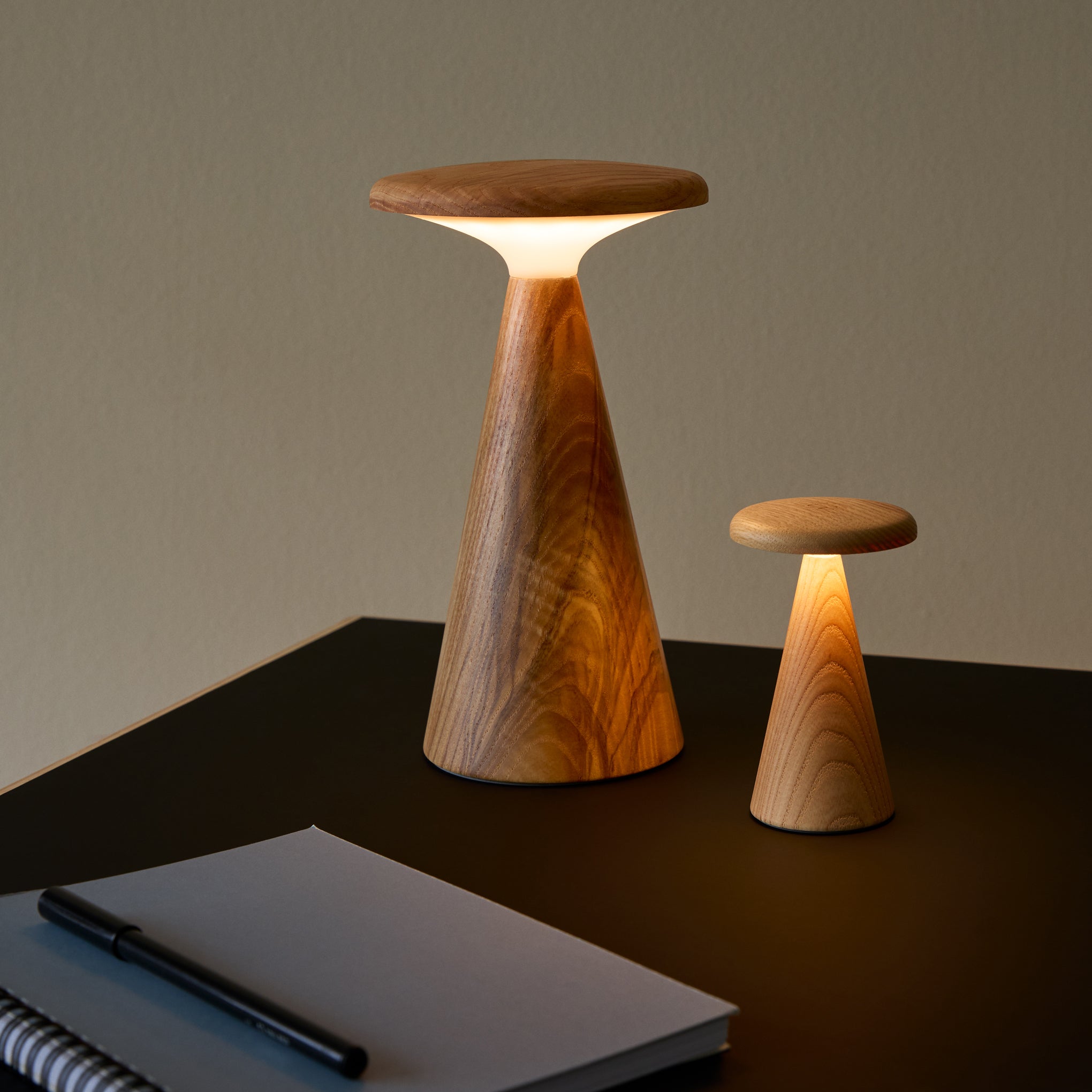 Sylva Portable Lamp - Mini - Image 7