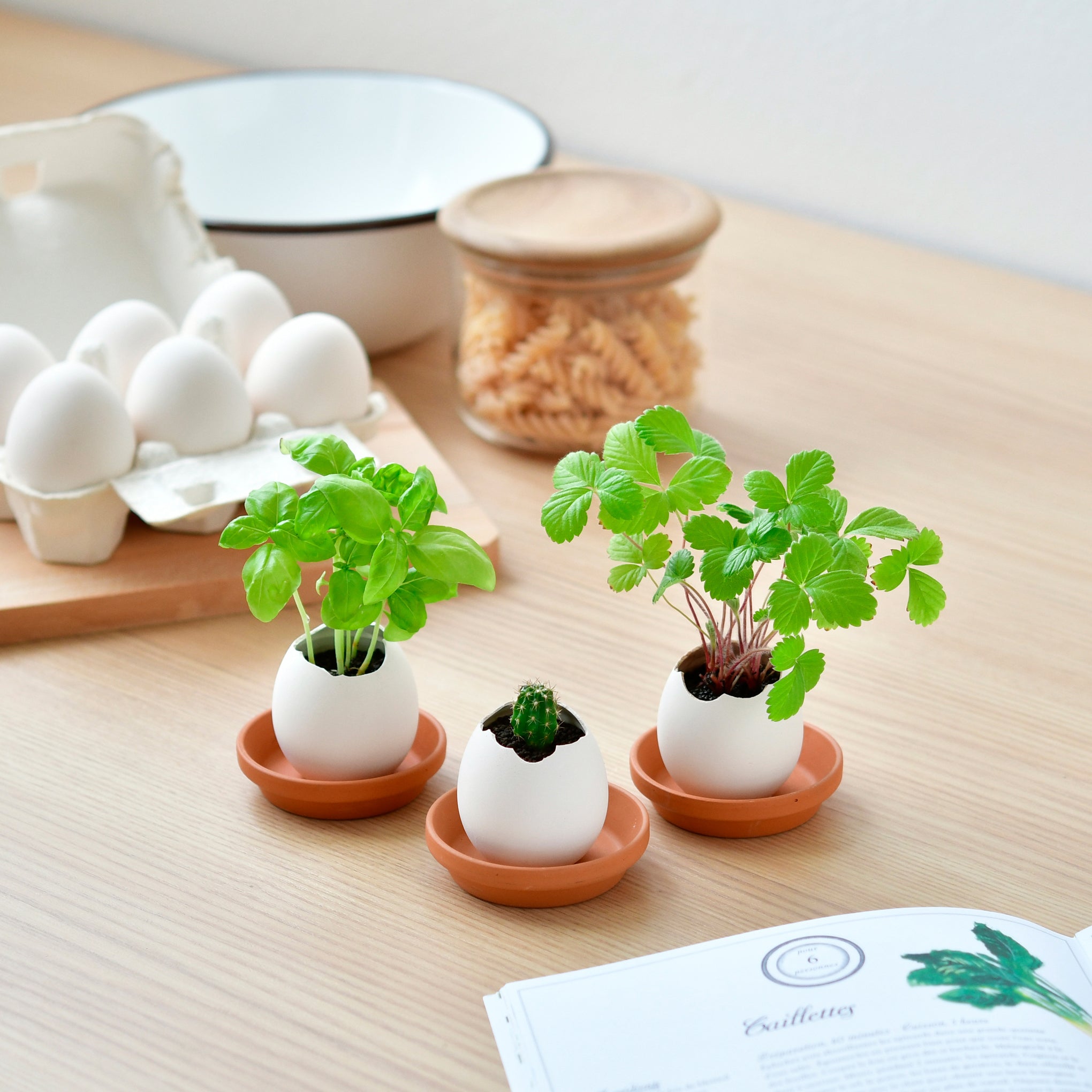 Eggling Crack & Grow Planter Kit - Basil - Image 2
