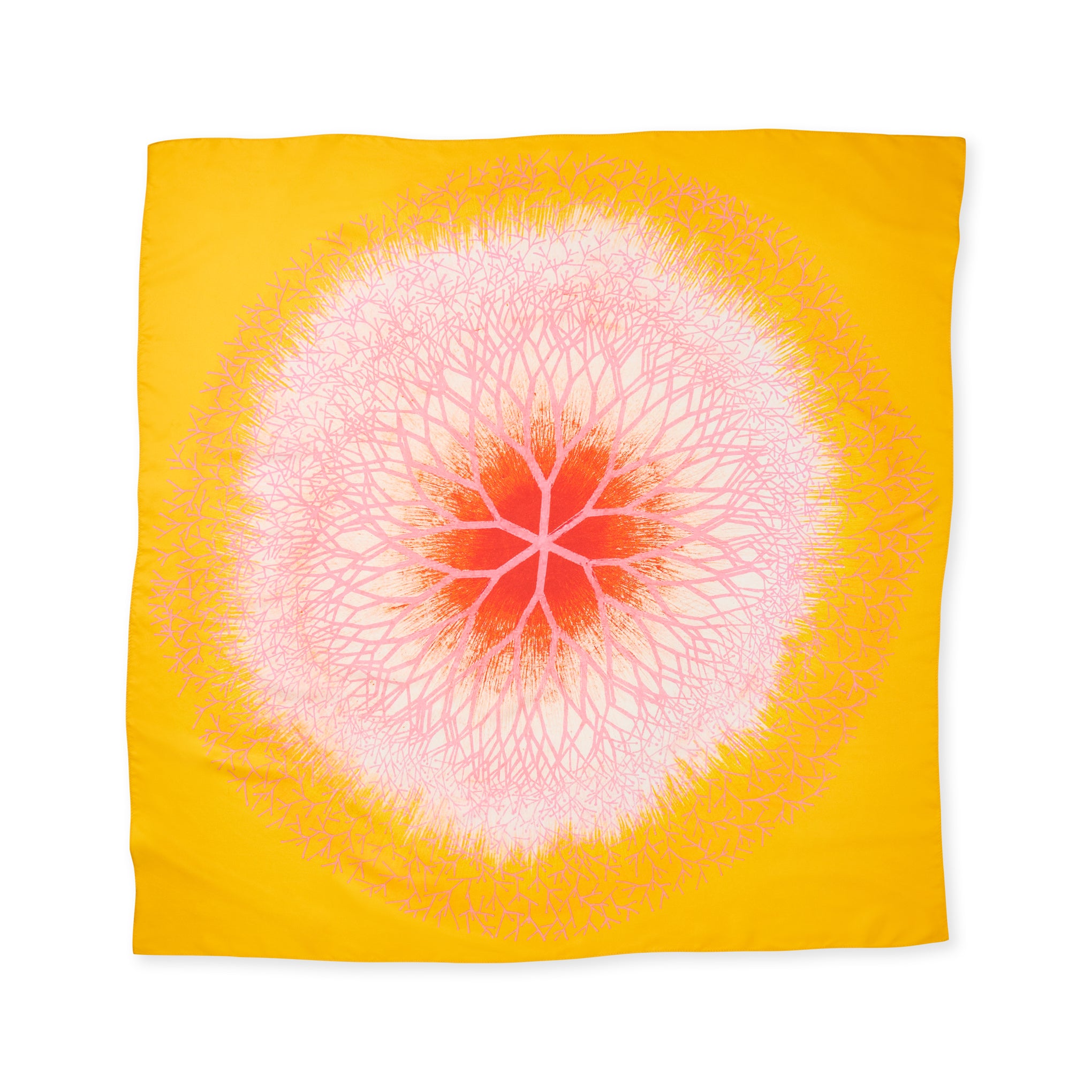 Ruth Asawa Desert Plant Silk Scarf