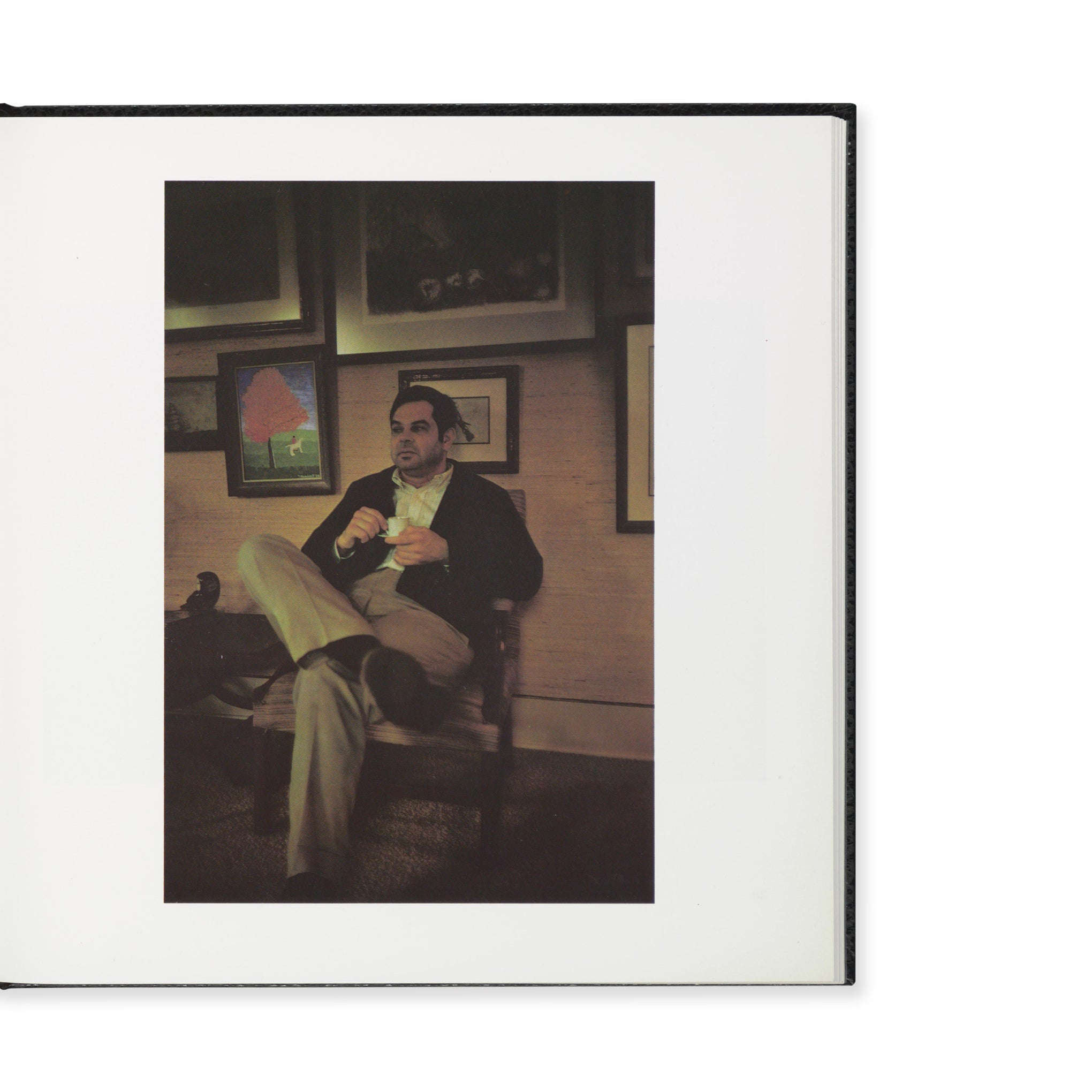 William Eggleston's Guide - Hardcover - Image 5