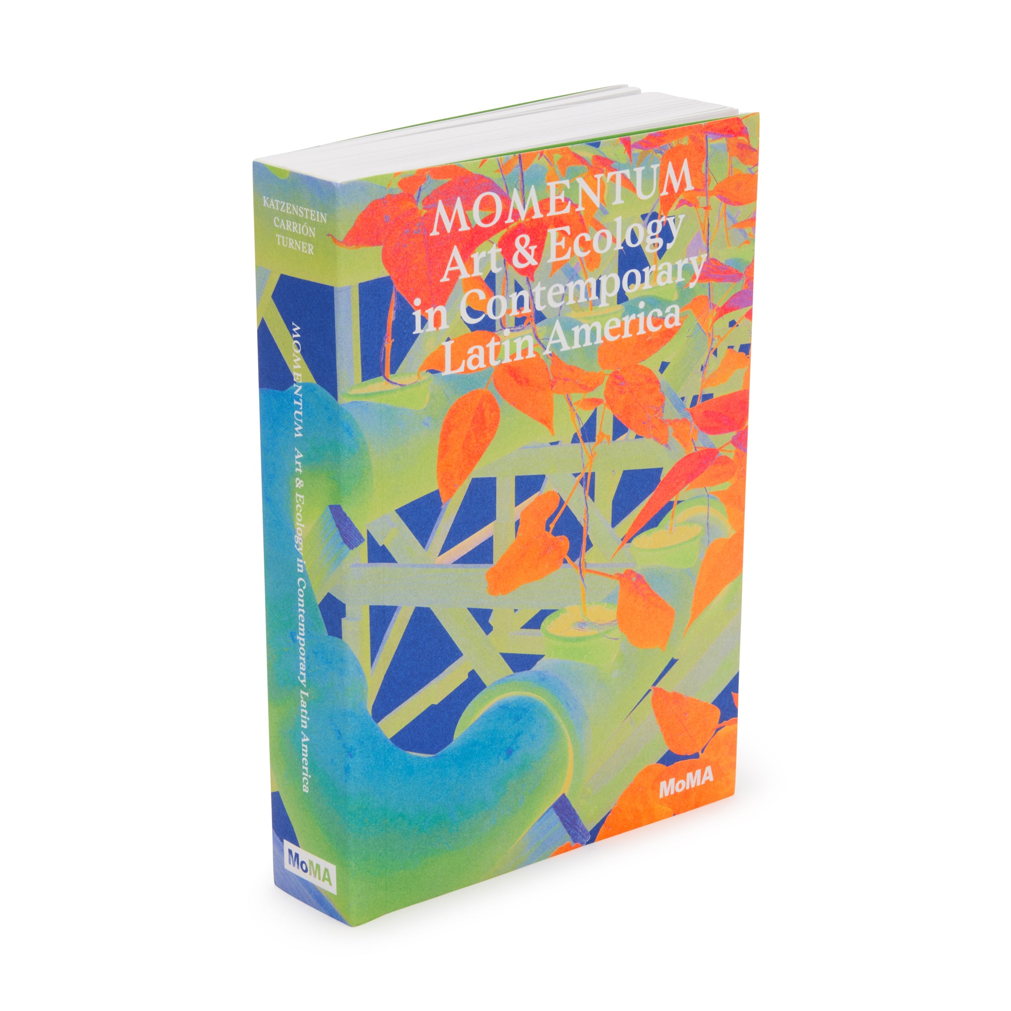 Momentum: Art and Ecology in Contemporary Latin America – Paperback - Image 2