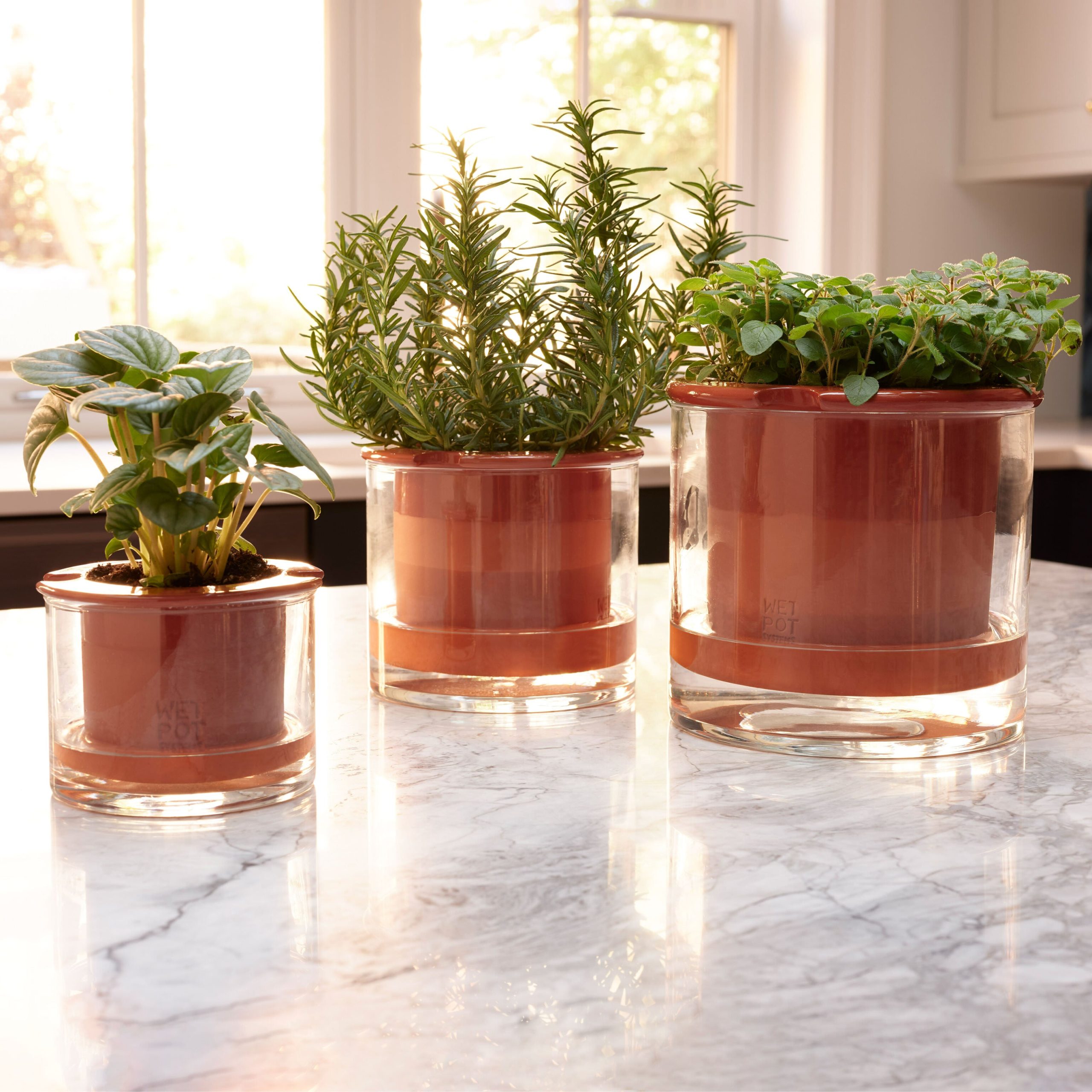 Self-Watering Wet Pots - Medium - Image 4