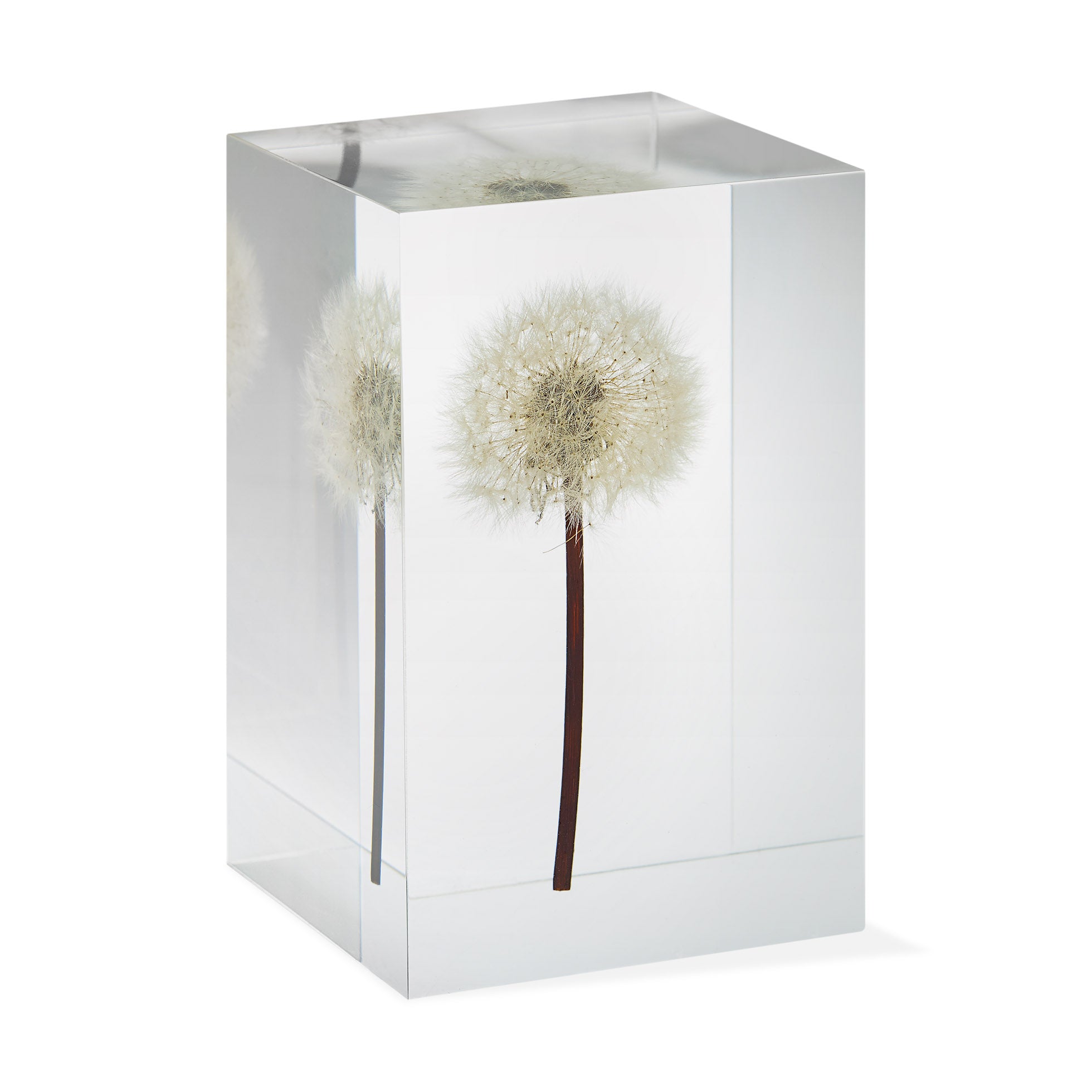 Dandelion Objet d'Art