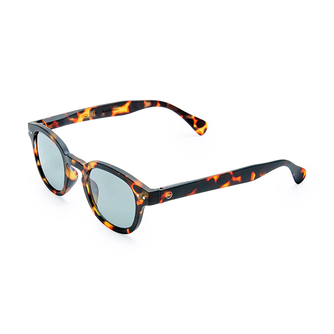 IZIPIZI Rounded-Edge Square Sunglasses #C - Tortoise - Image 6