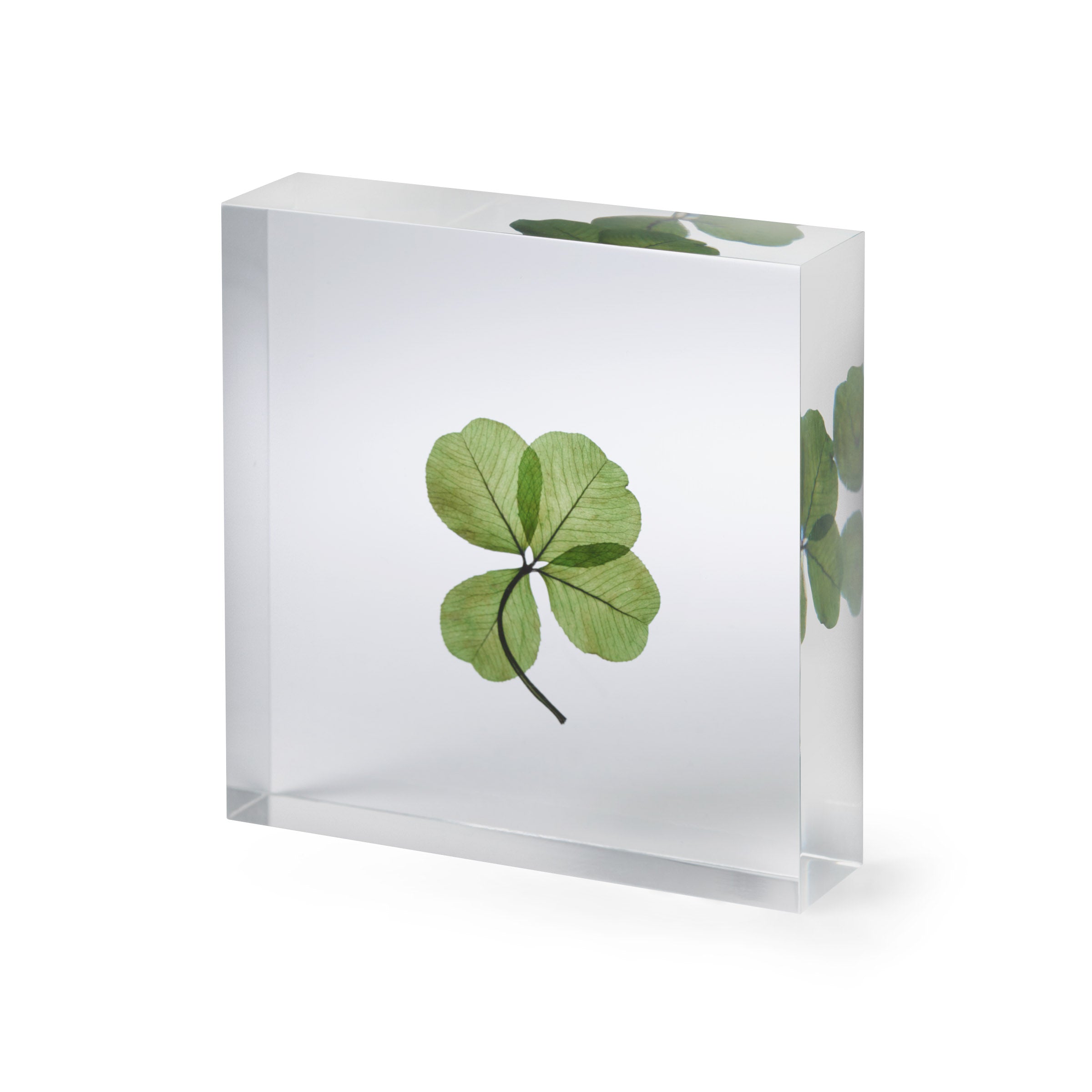 Lucky Clover Objet - Image 3