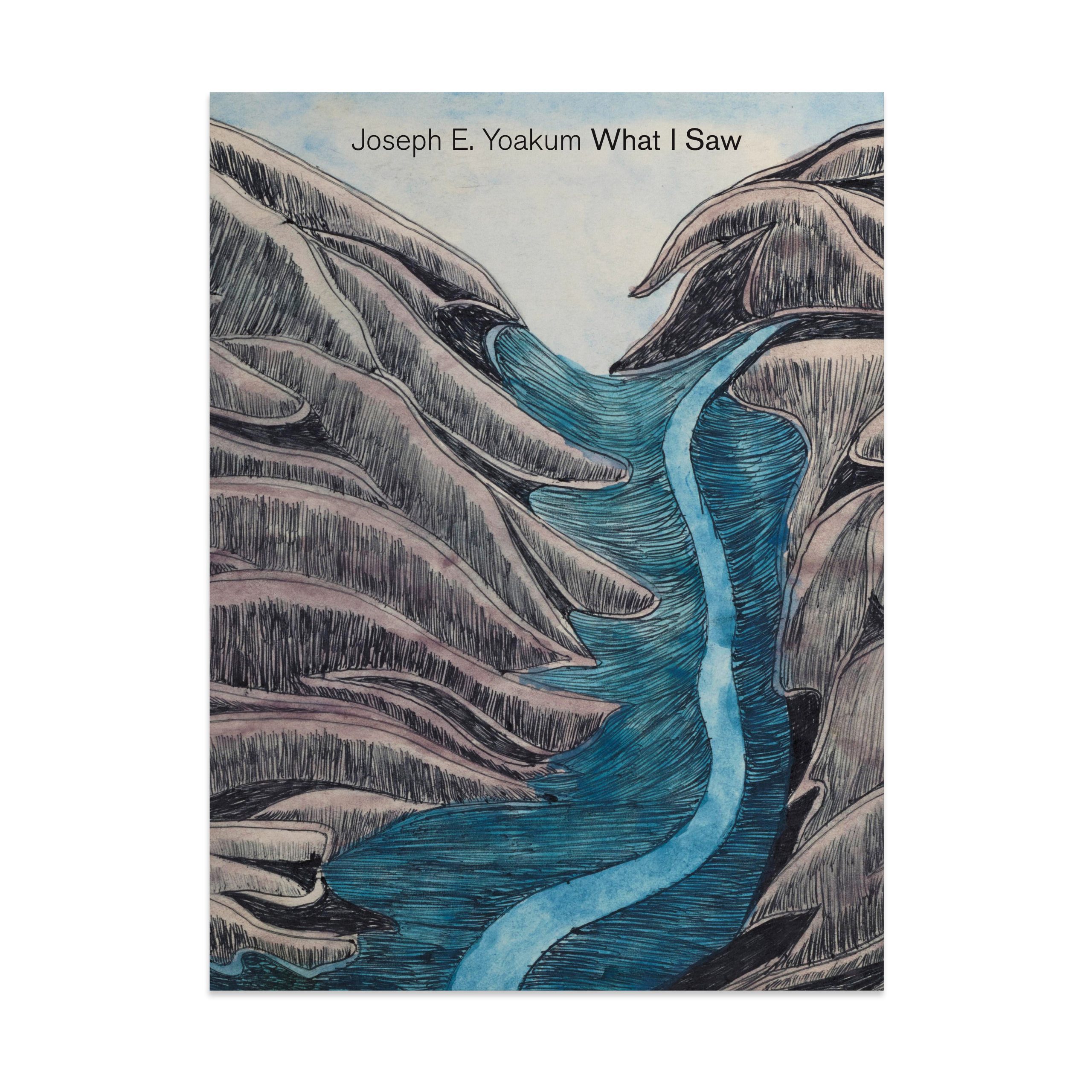 Joseph Yoakum: What I Saw - Hardcover