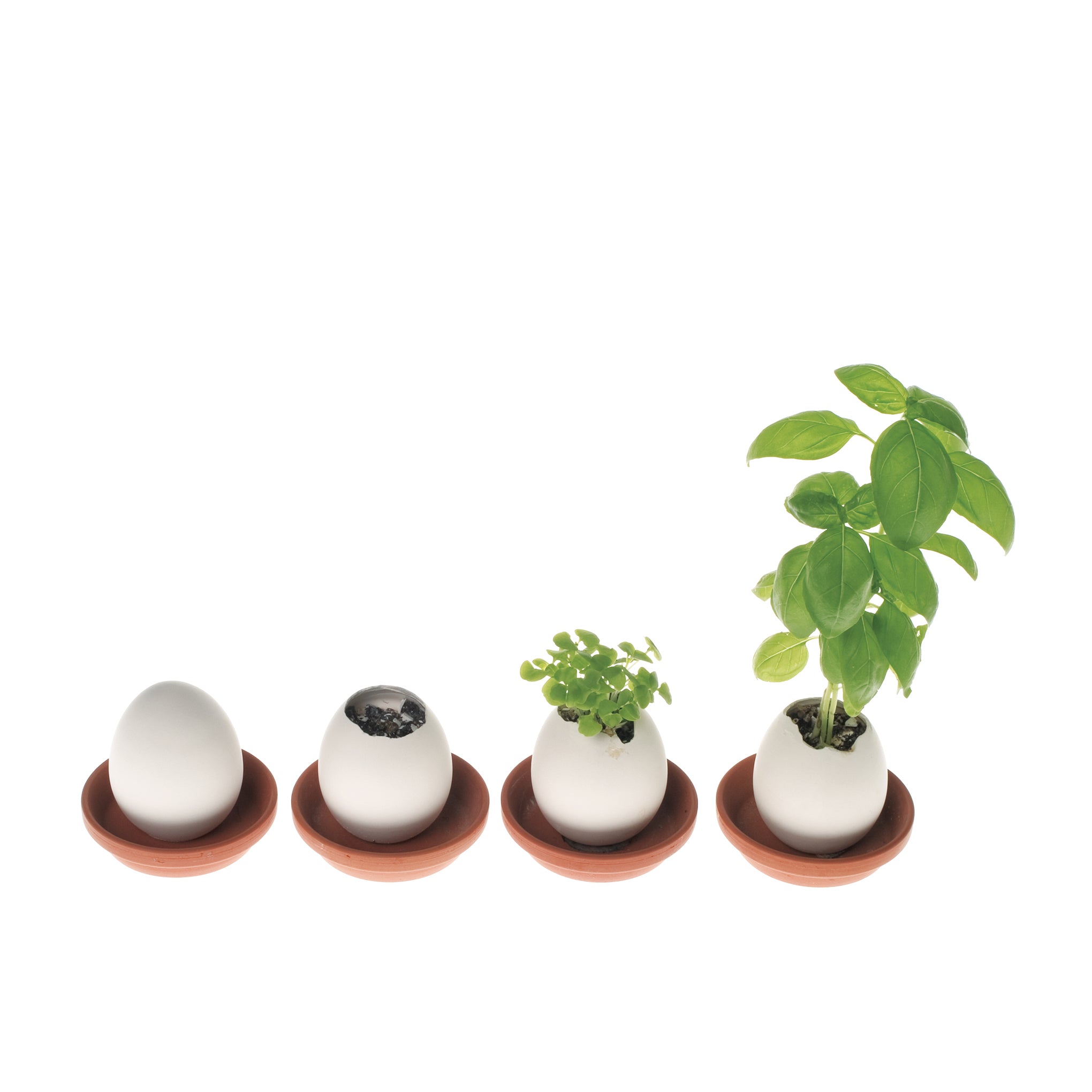Eggling Crack & Grow Planter Kit - Basil - Image 4