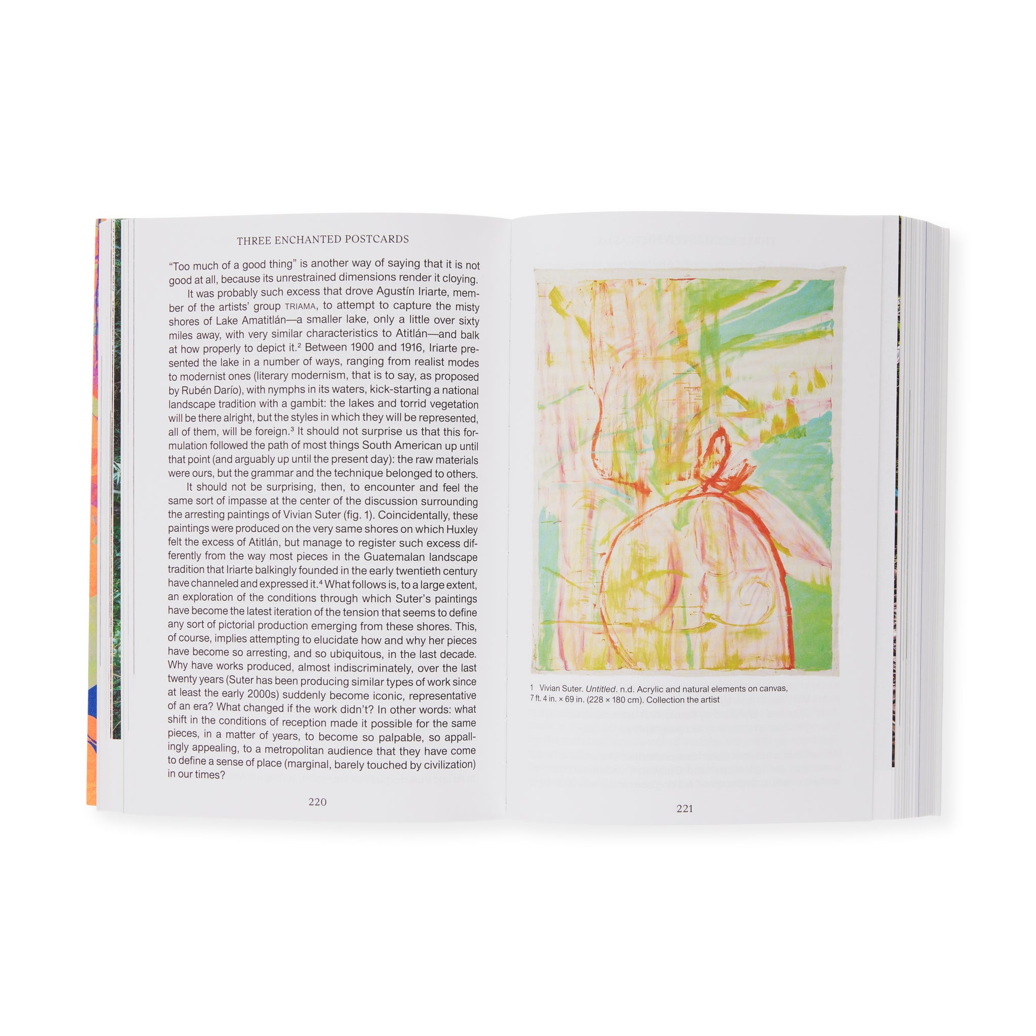 Momentum: Art and Ecology in Contemporary Latin America – Paperback - Image 5