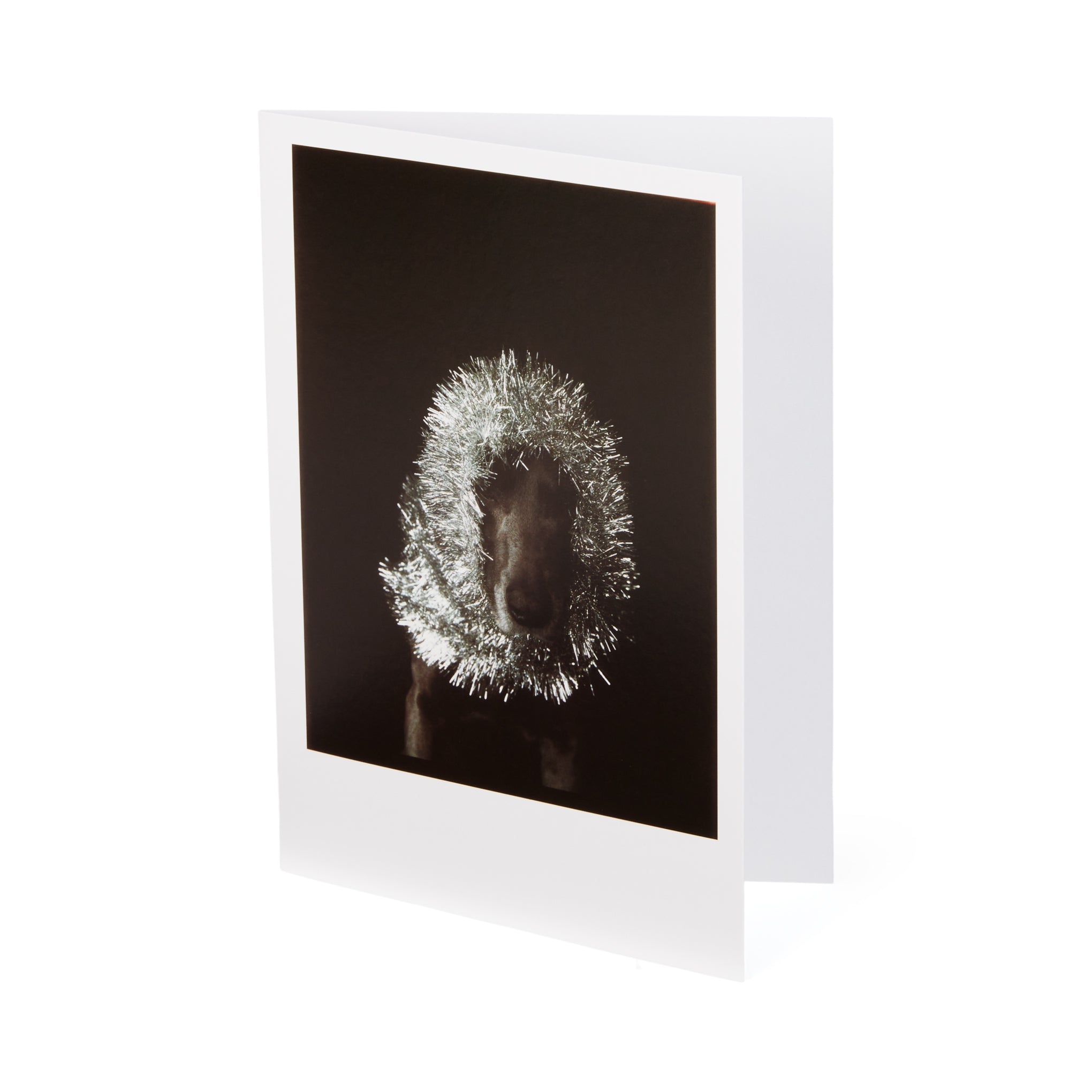 William Wegman Man Ray with Tinsel Holiday Cards - Set of 12 - Image 3