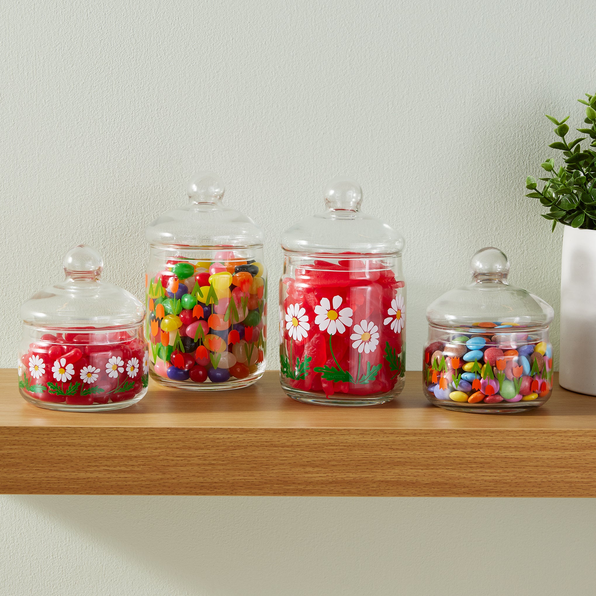 Retro Glass Jar with Lid - Growing Daisies - Image 8