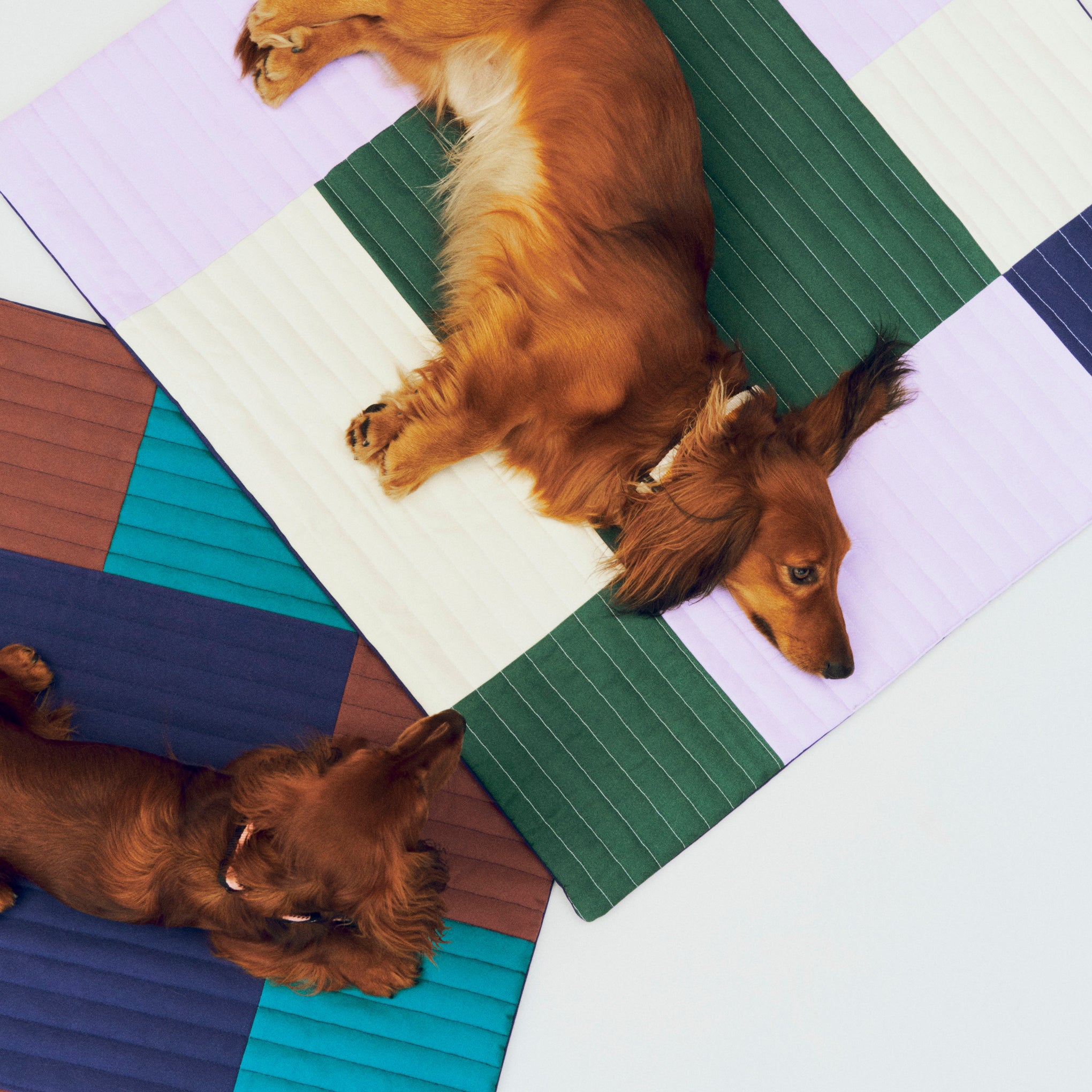 HAY Dog Travel Recycled Polyester Blanket - Multi - Image 2