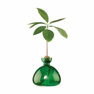 Avocado Vase - Emerald Green