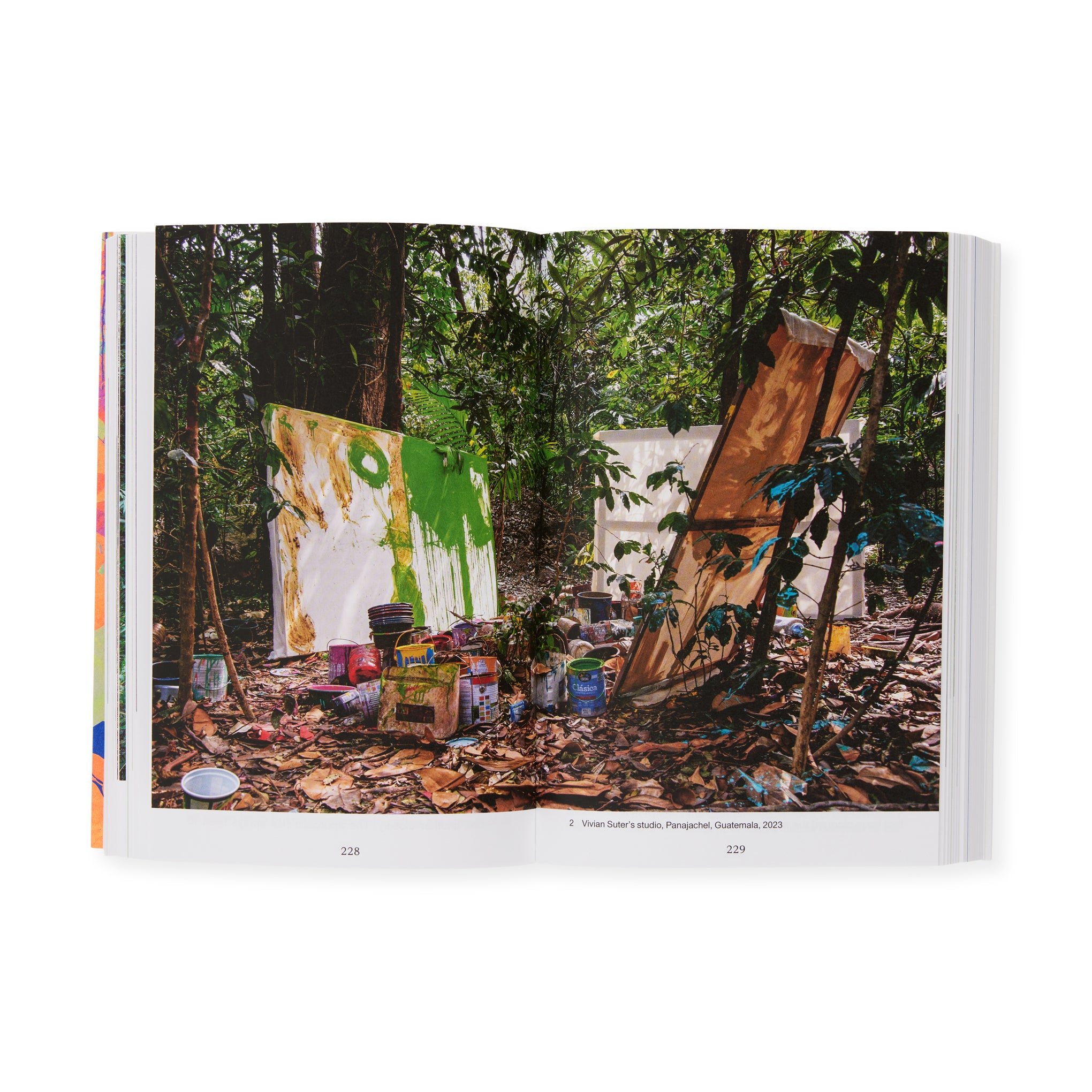 Momentum: Art and Ecology in Contemporary Latin America – Paperback - Image 6