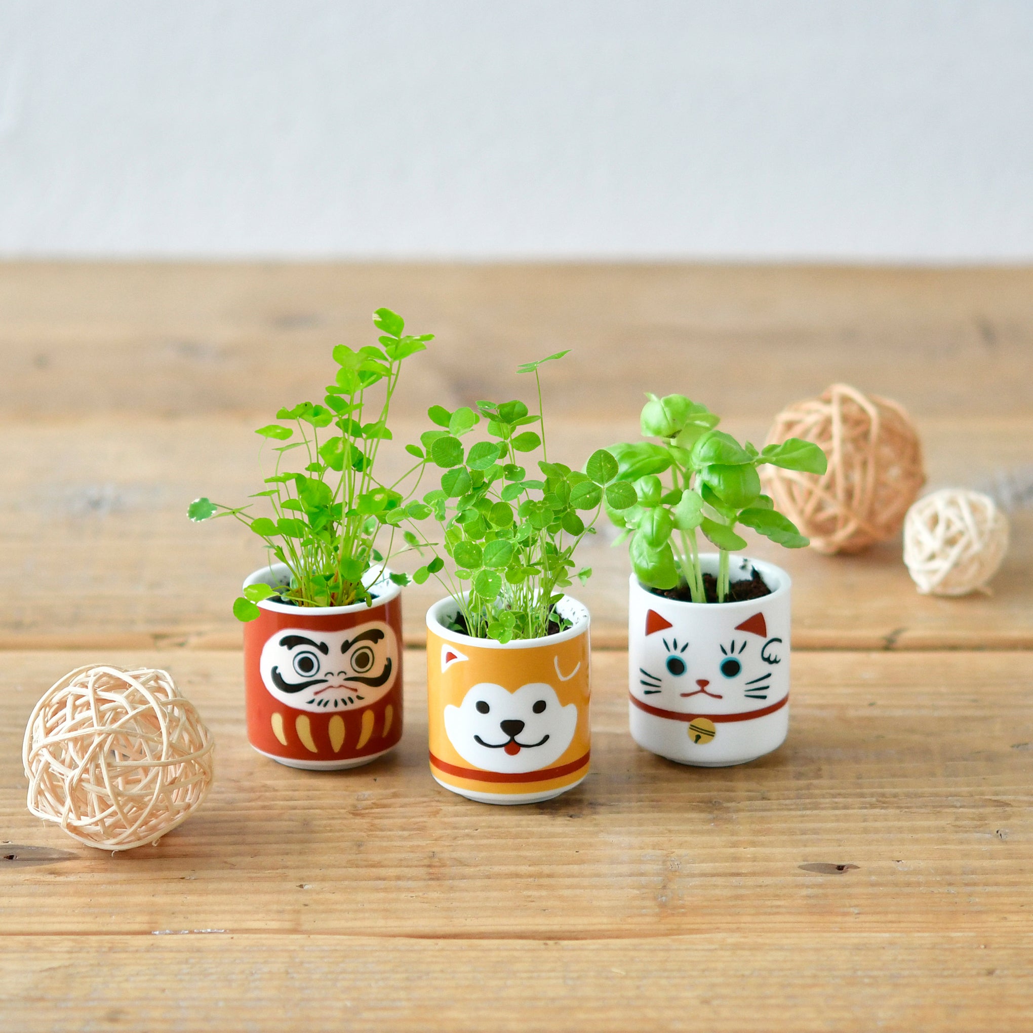 Lucky Mini Planter Kit - Dog / Clover - Image 3