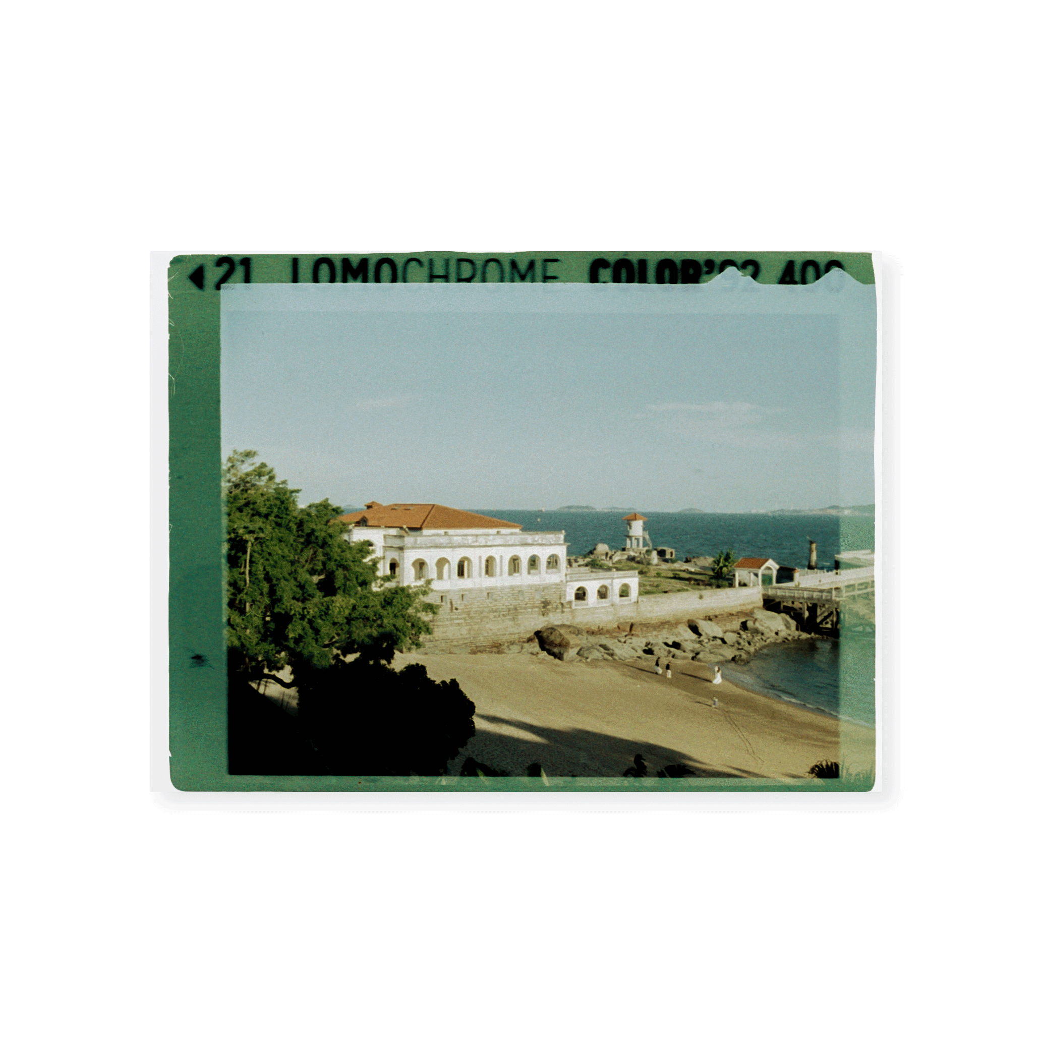 Lomography Lomochrome 110 Camera Film - Color - Image 2