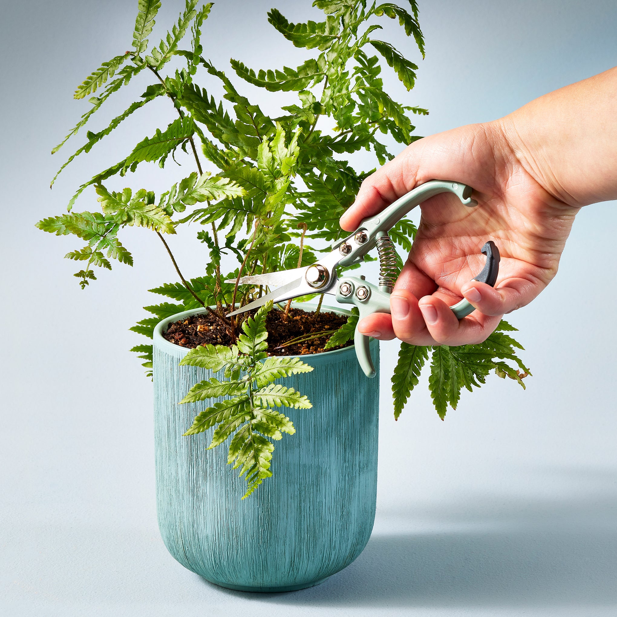 Modern Sprout Pruning Shears - Image 2