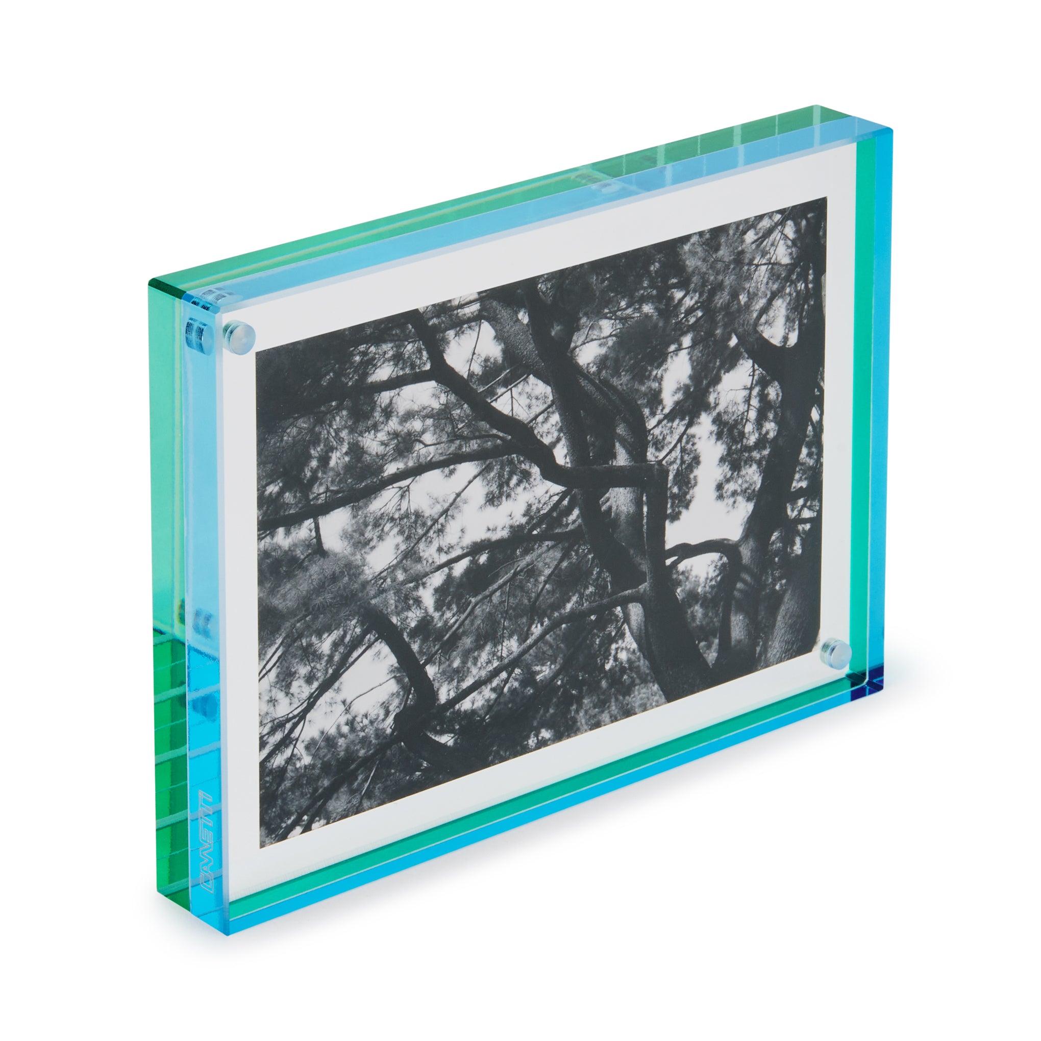 Nicolai Canetti Dual-Color Magnetic Picture Frame - Green/Aqua - Image 5