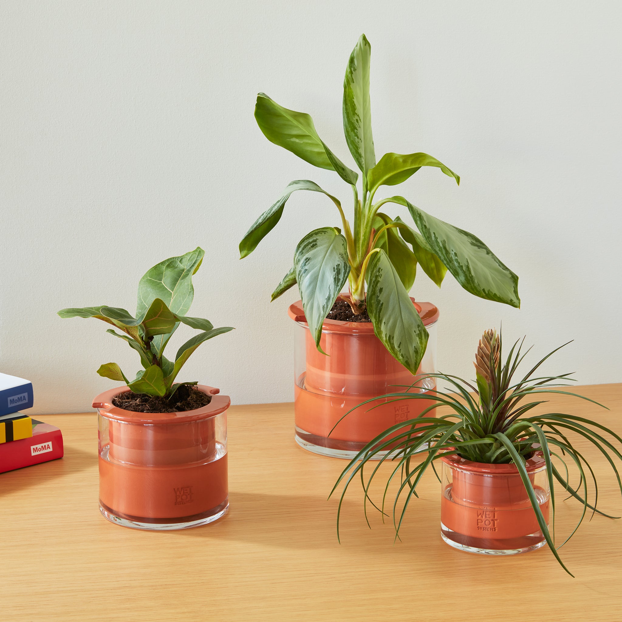 Self-Watering Wet Pots - X-Small - Image 2