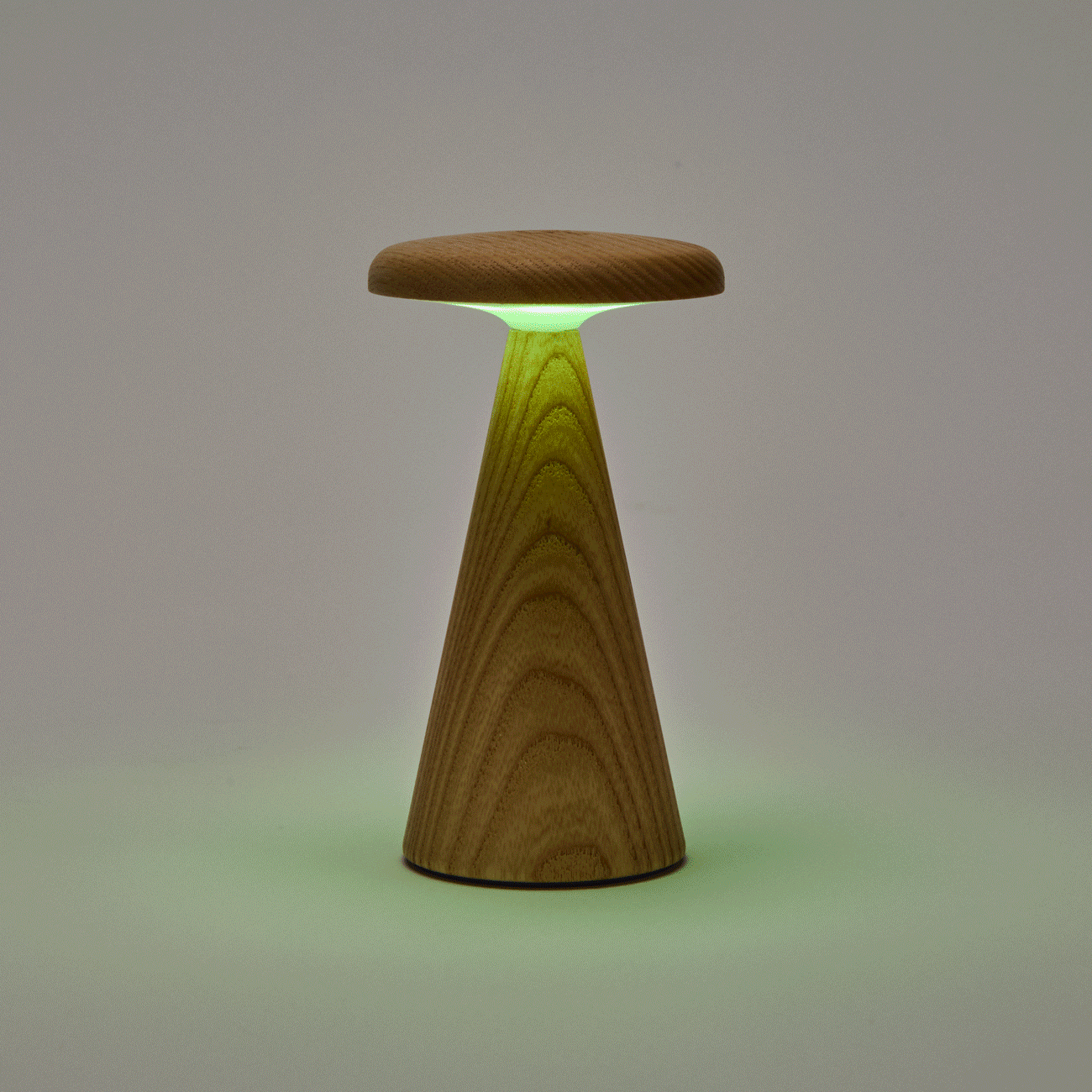 Sylva Portable Lamp - Mini - Image 3