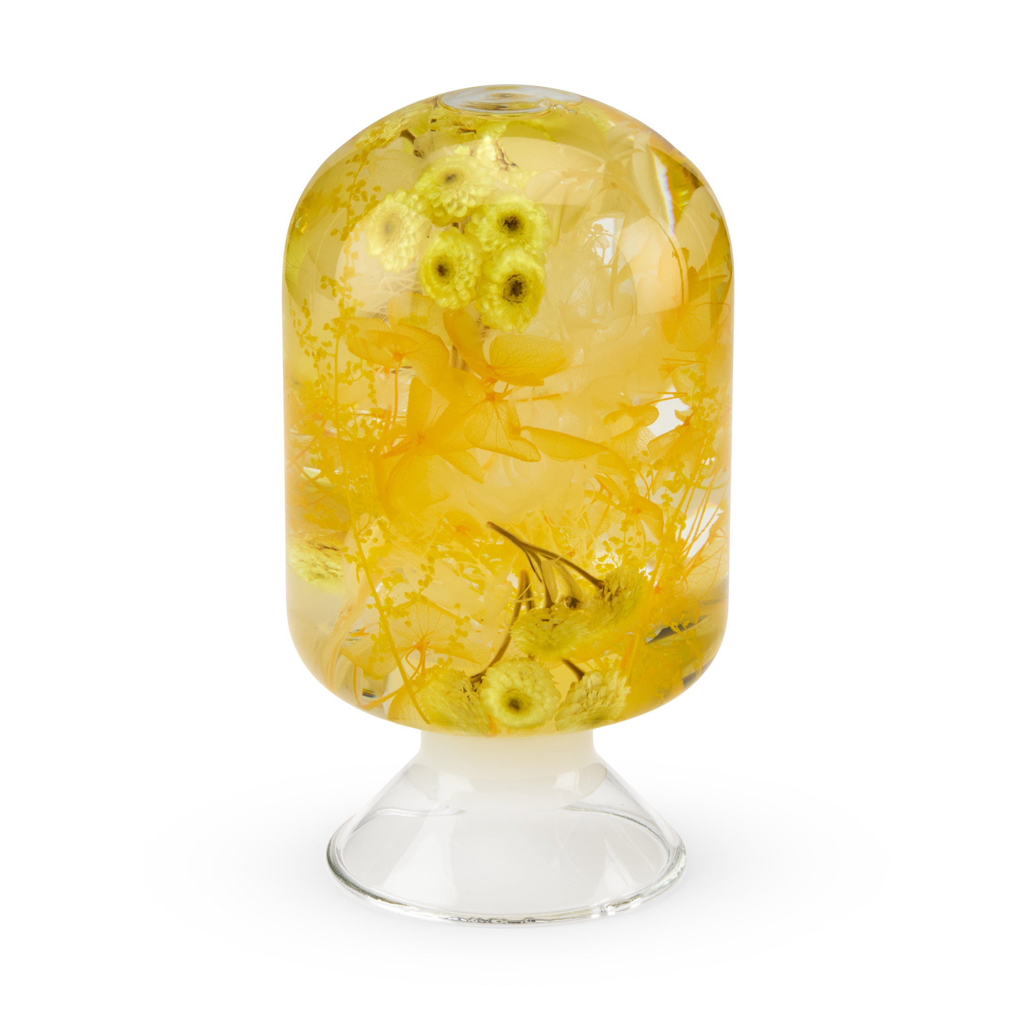 Pieces of Time Flower Objet d'Art - Yellow Immortelle