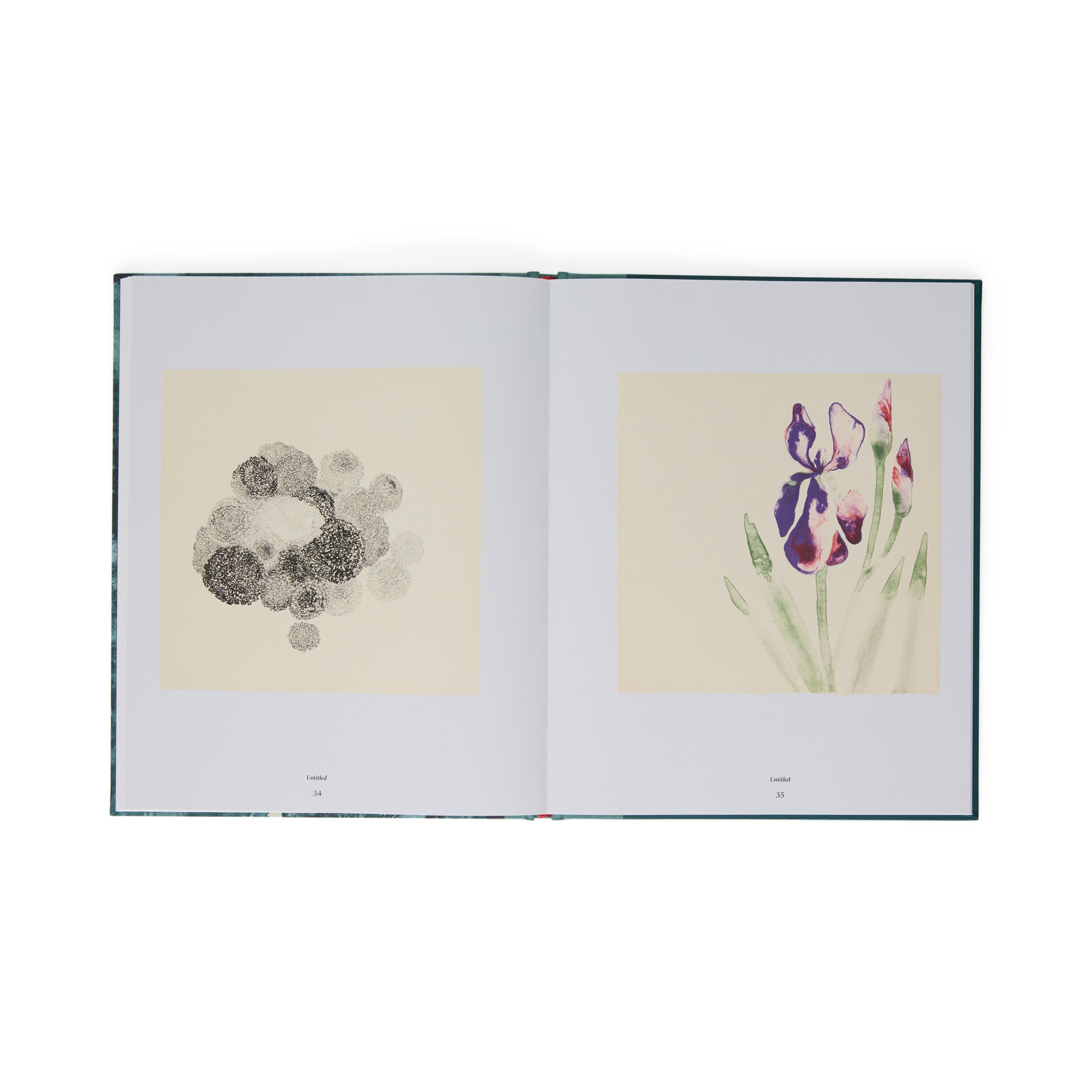 Ruth Asawa: The Tamarind Prints - Hardcover Book - Image 7