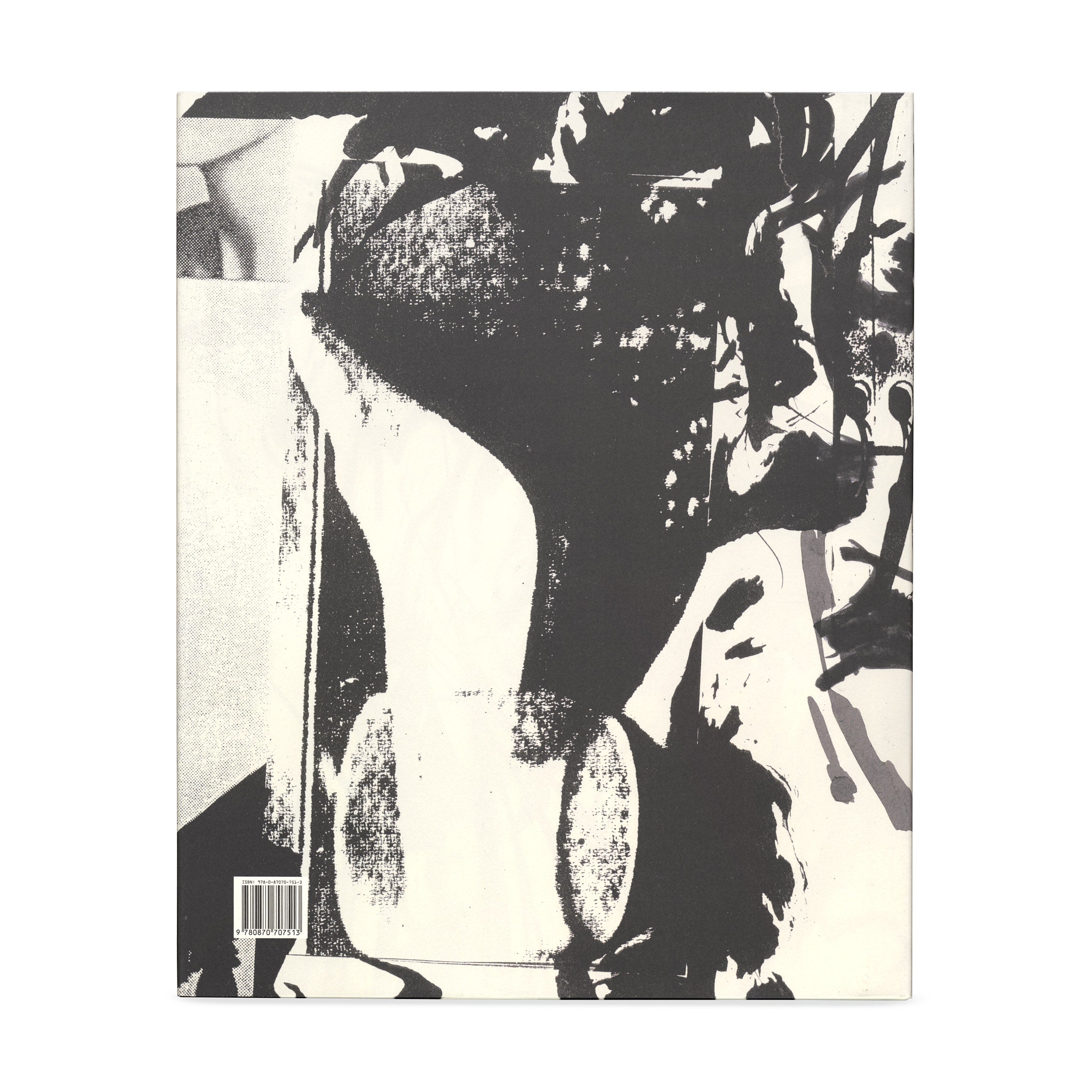 The Judith Rothschild Foundation Contemporary Drawings Collection: Catalogue Raisonné - Hardcover - Image 2