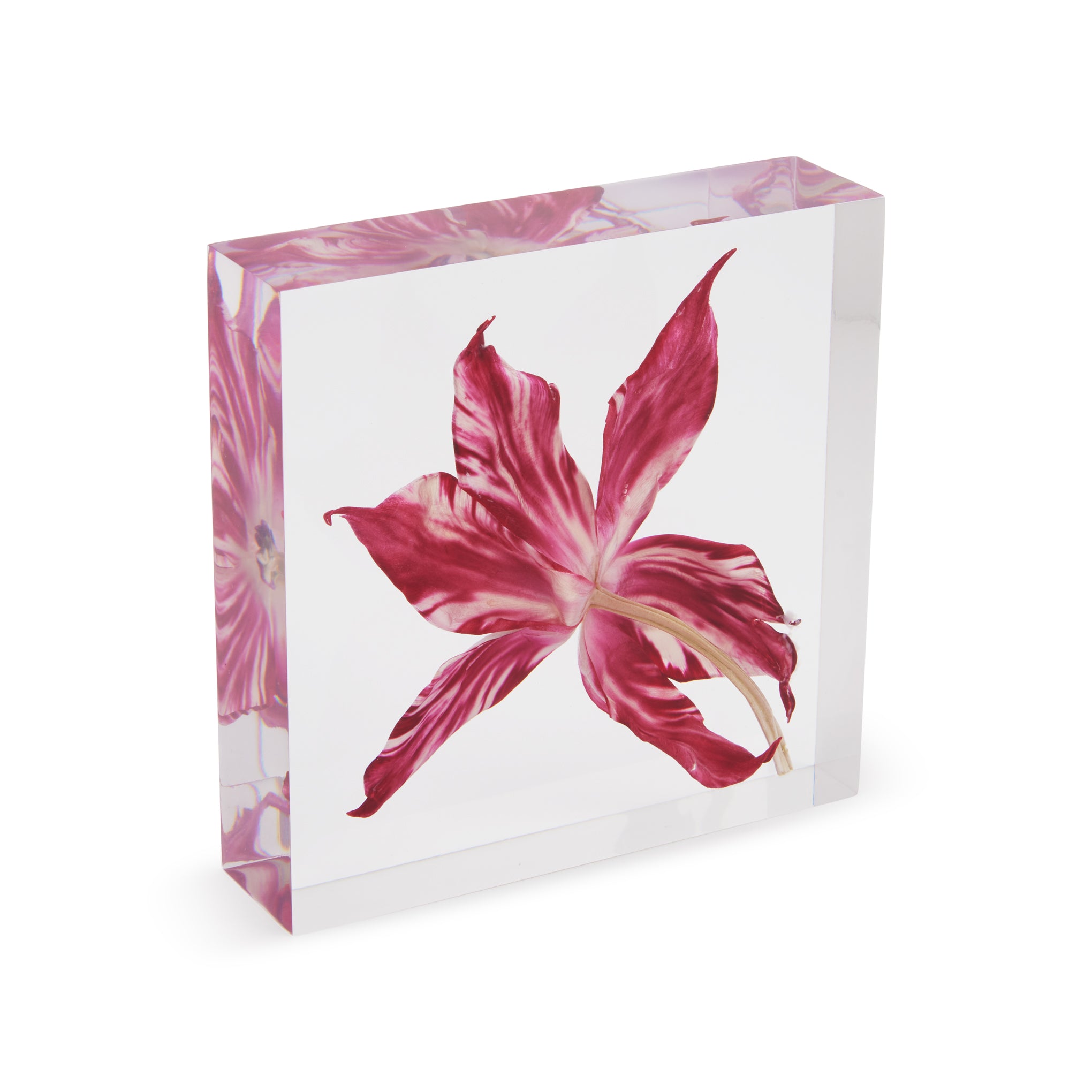 Rare Tulip Flat Objet d'Art - Image 3