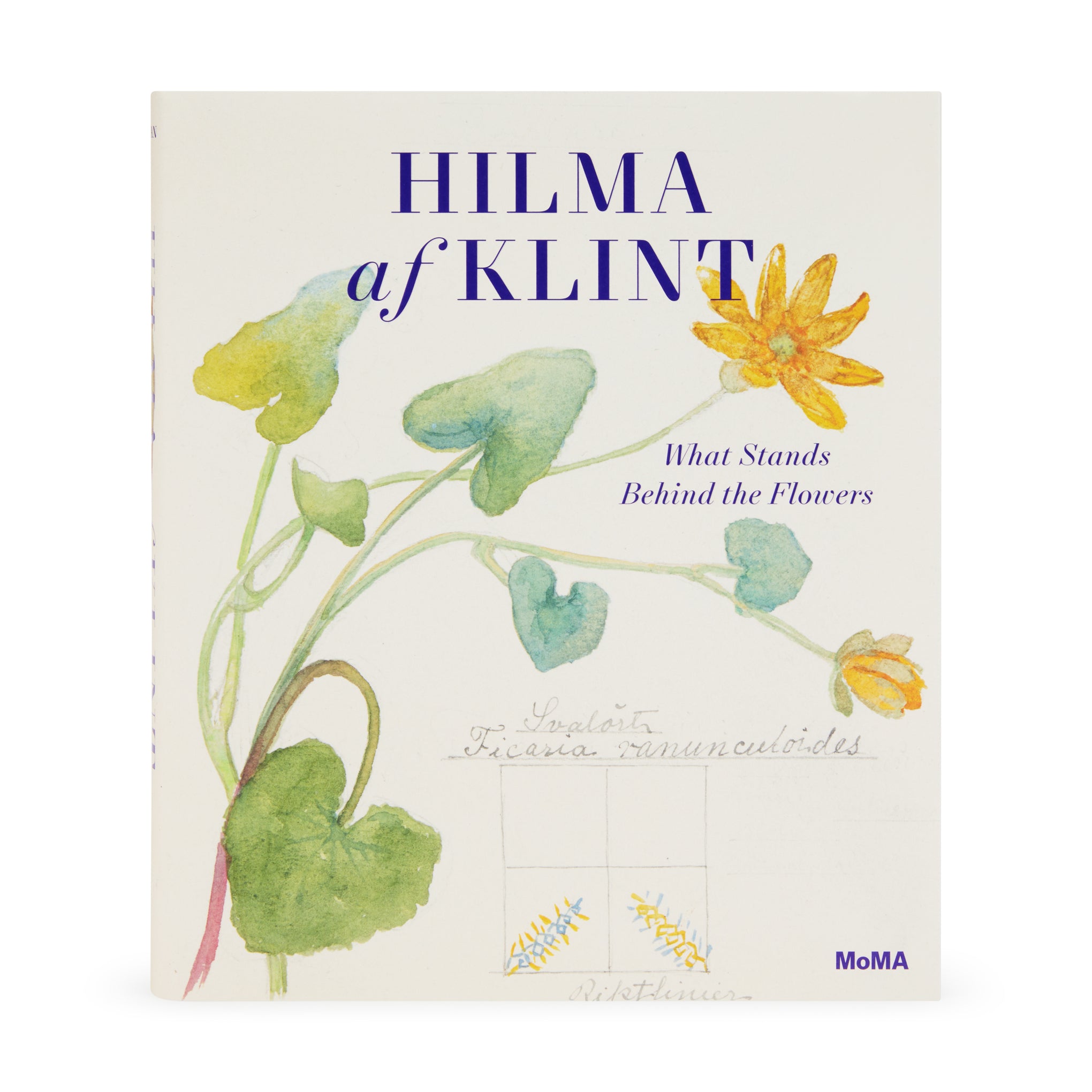 Hilma af Klint: What Stands Behind the Flowers – Hardcover