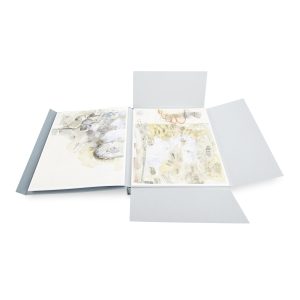 Robert Rauschenberg: Thirty­-Four Drawings for Dante's Inferno