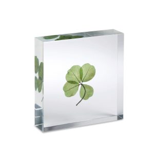 Lucky Clover Objet