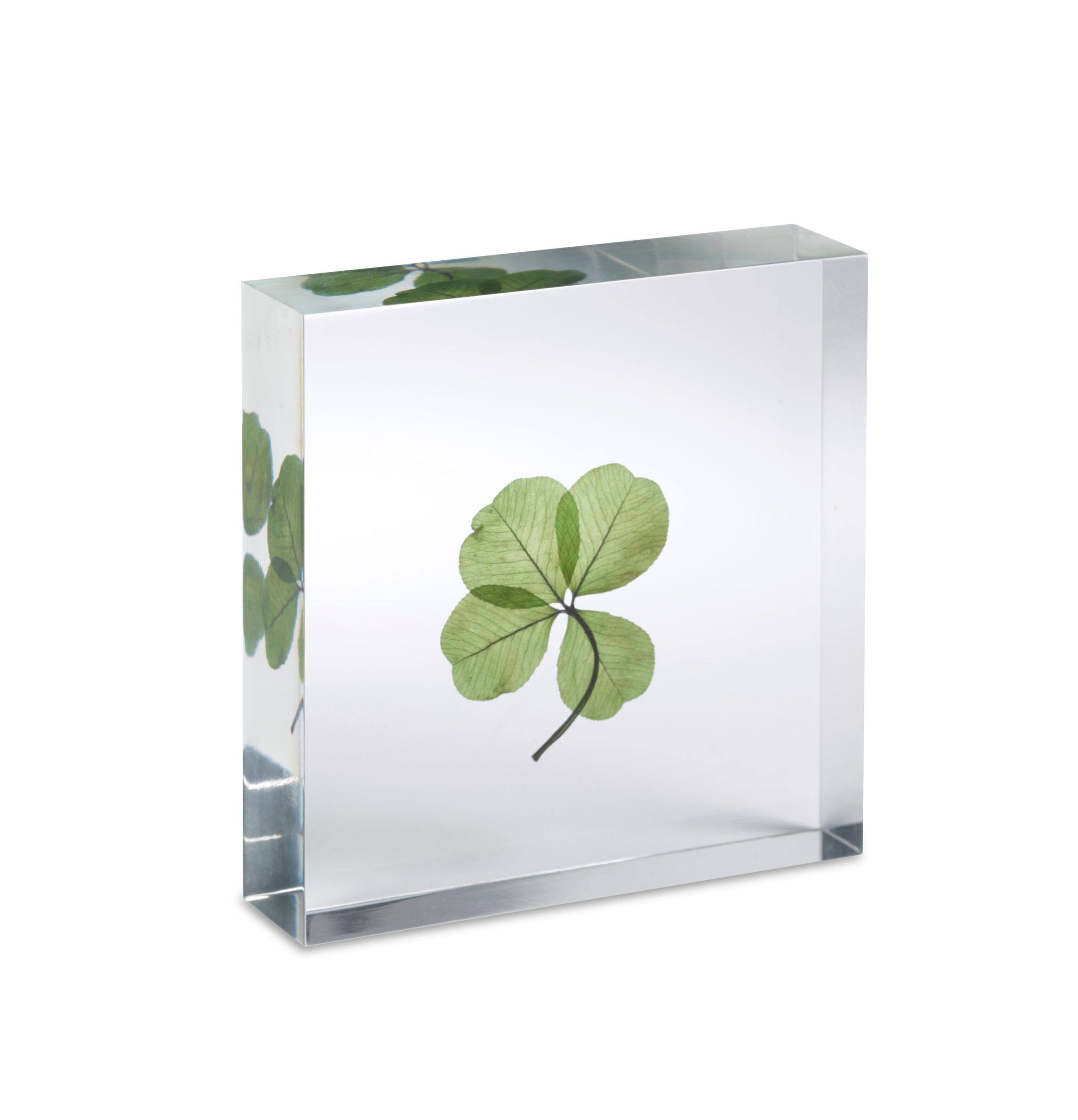 Lucky Clover Objet