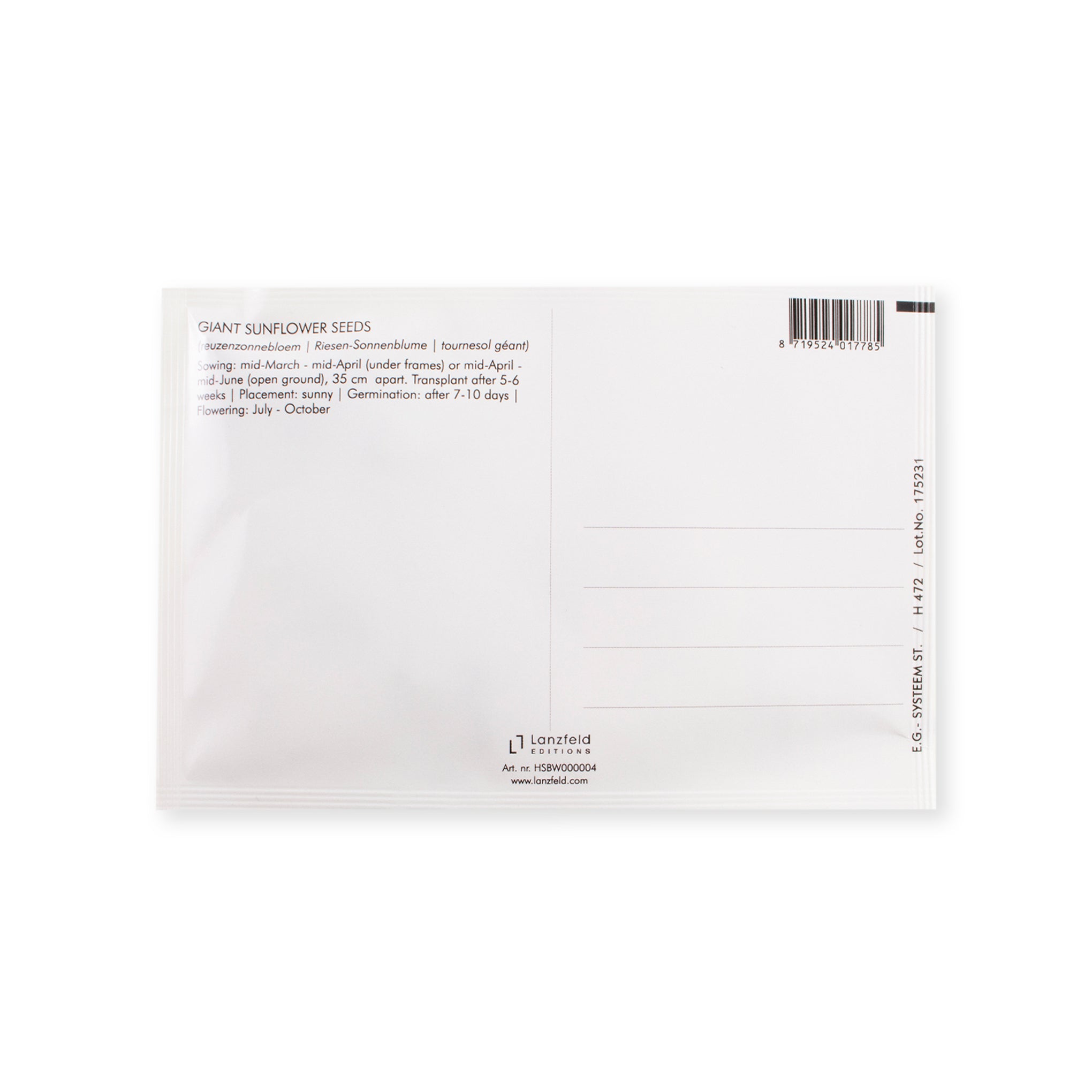 MoMA Artist Postcard Seed Packet - Van Gogh Giant Sunflower Mix - Image 2