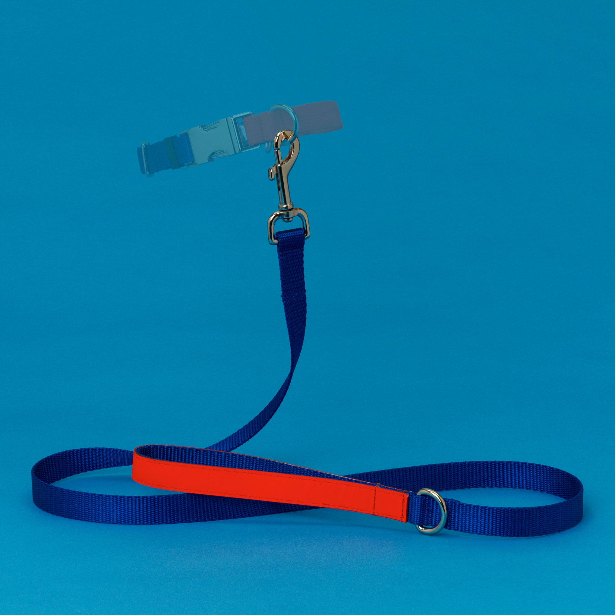 Ware of the Dog Two-Tone Nylon Collar - Image 2