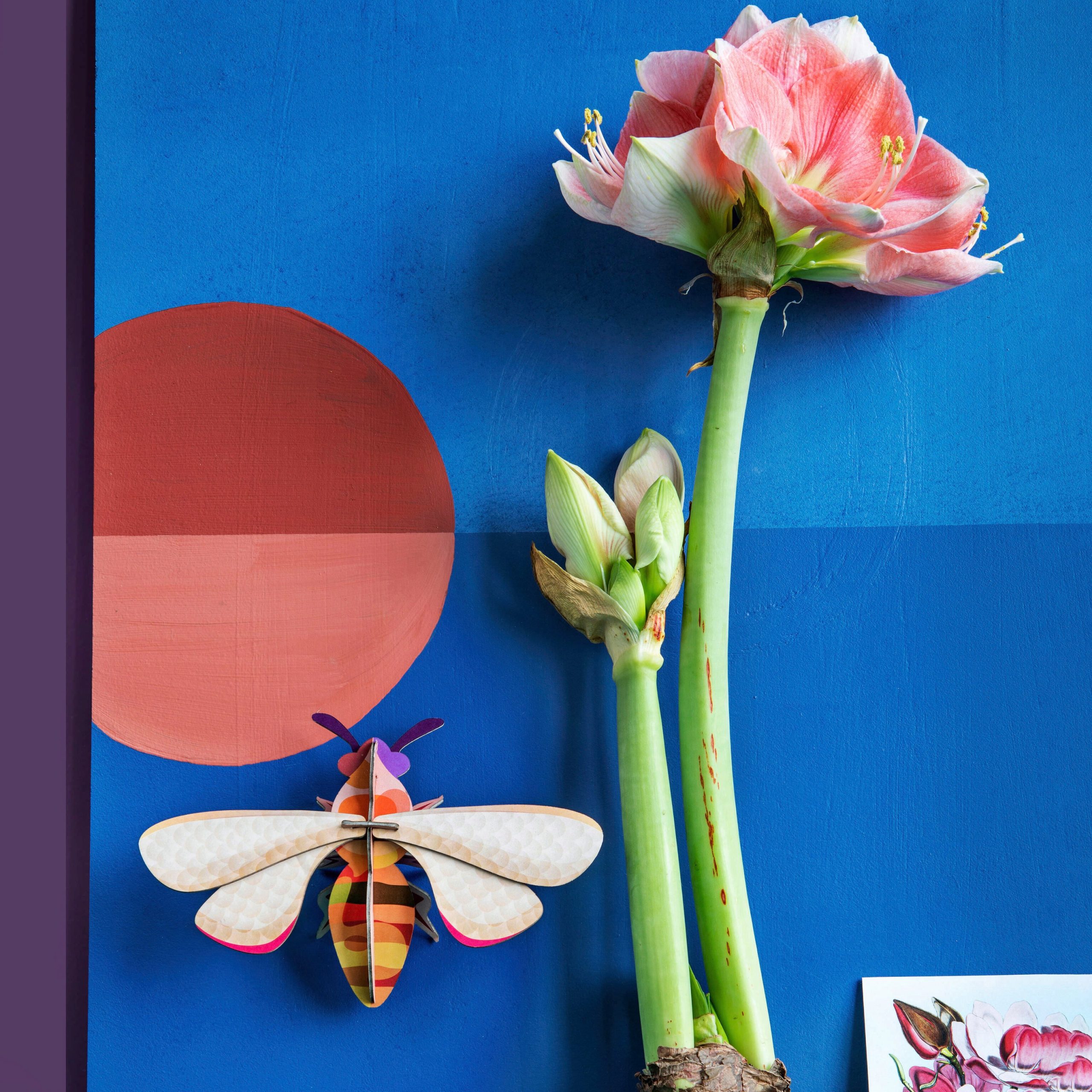 3D DIY Decorative Insects - Honey Bee - Image 3