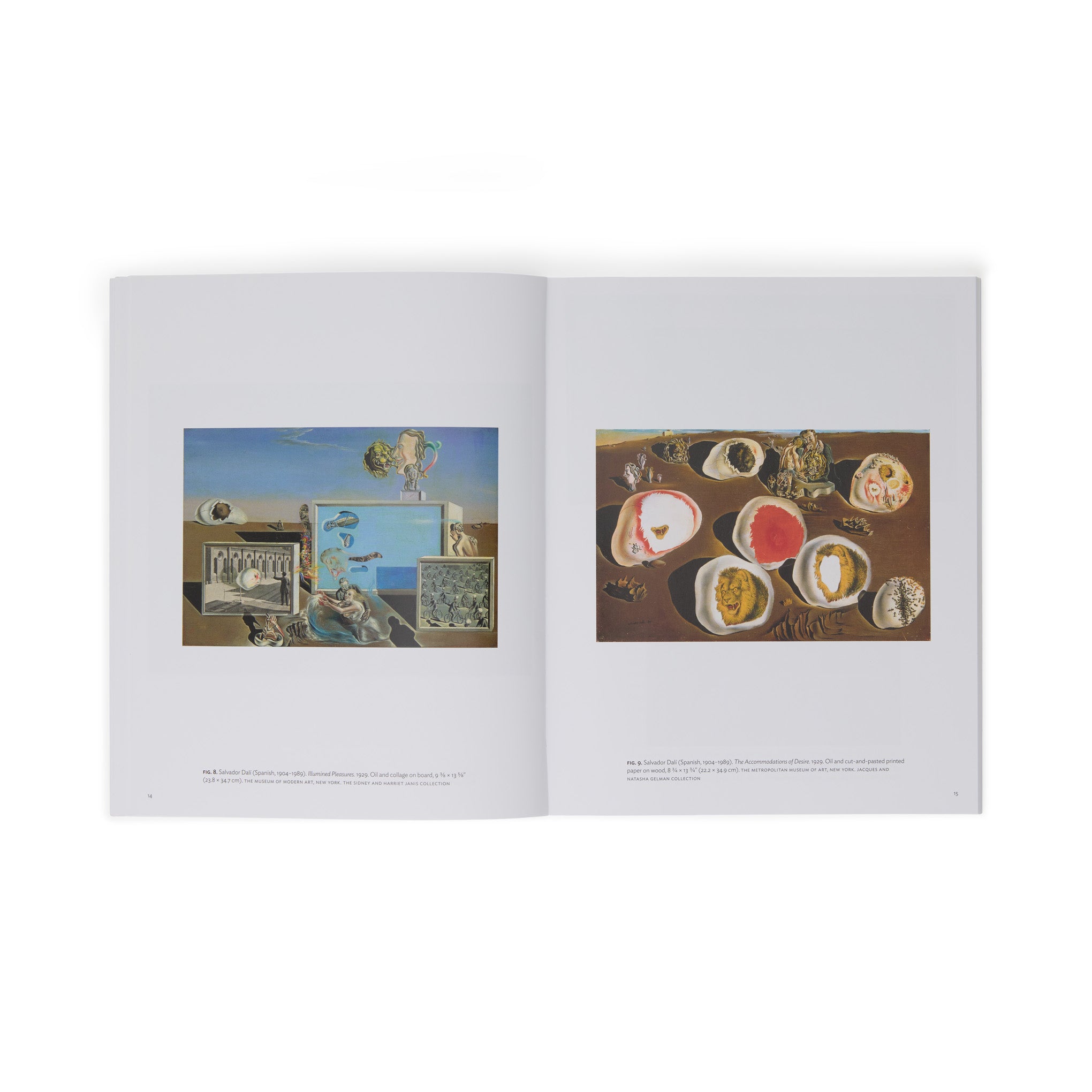 Salvador Dalí: The Persistence of Memory (MoMA One on One Series) - Paperback Book - Image 7