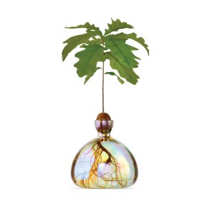 Acorn Vase - iridescent