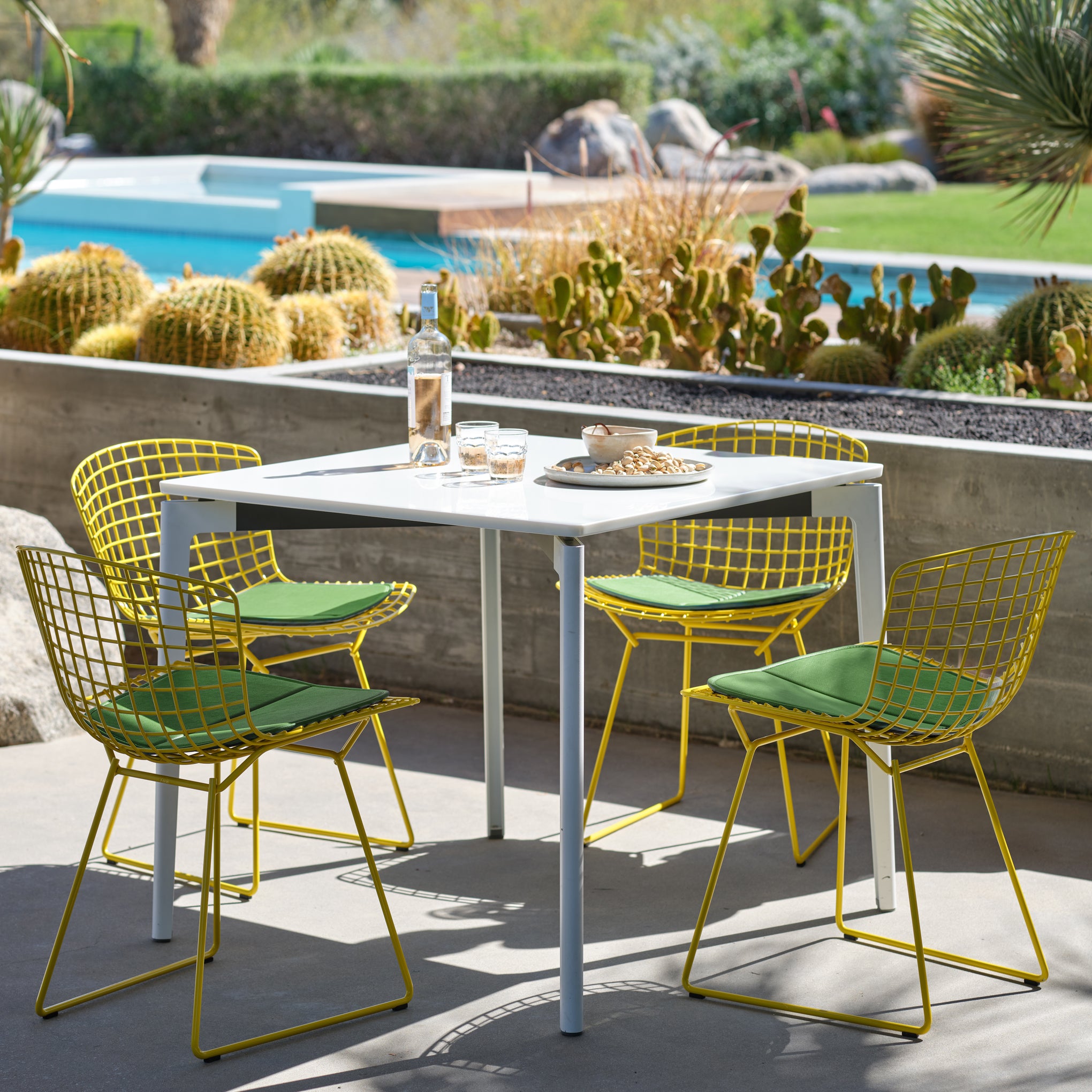 Knoll Side Chair with Cushion by Harry Bertoia - Yellow/ Evergreen - Image 2