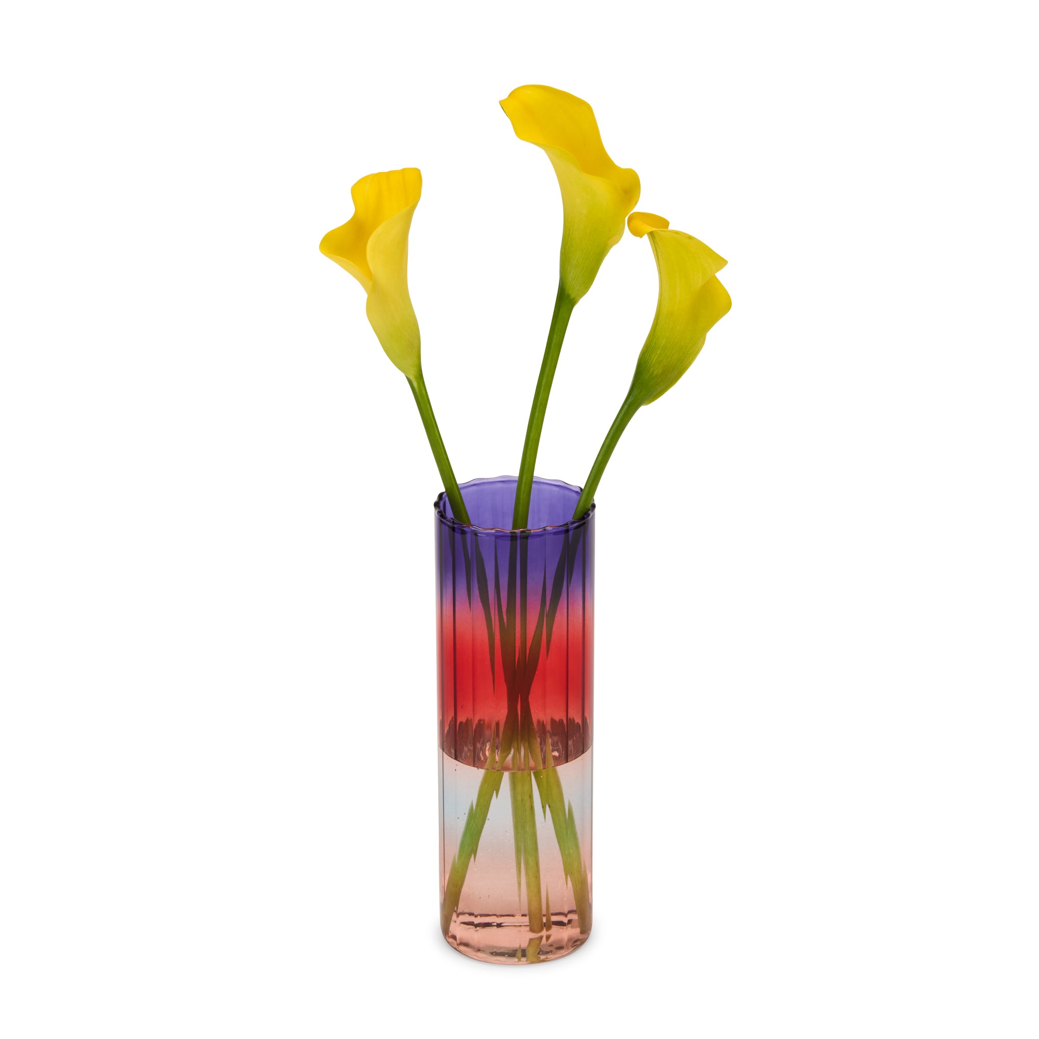 Gradient Glass Vase - Small