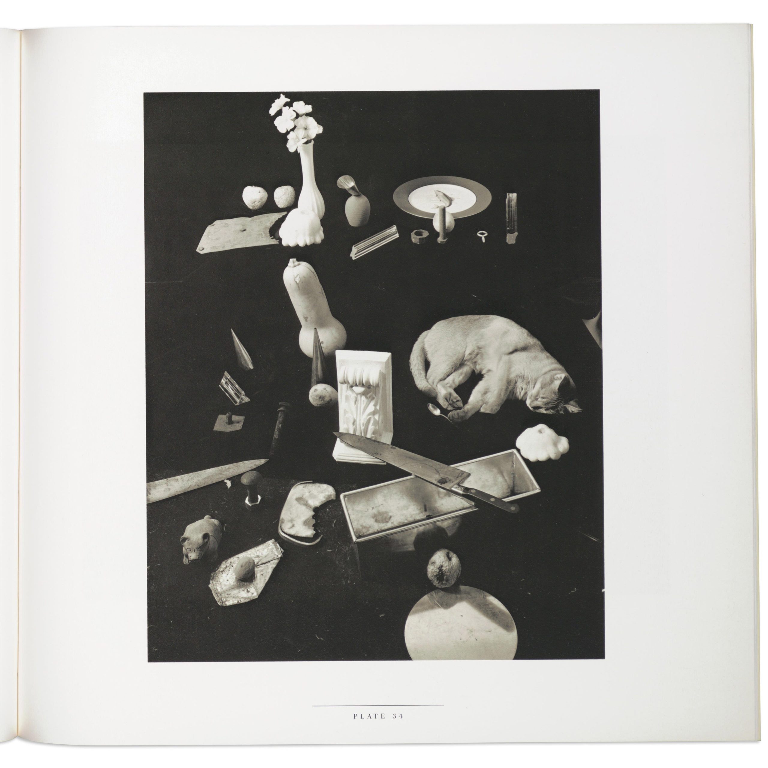 Jan Groover - Paperback - Image 5