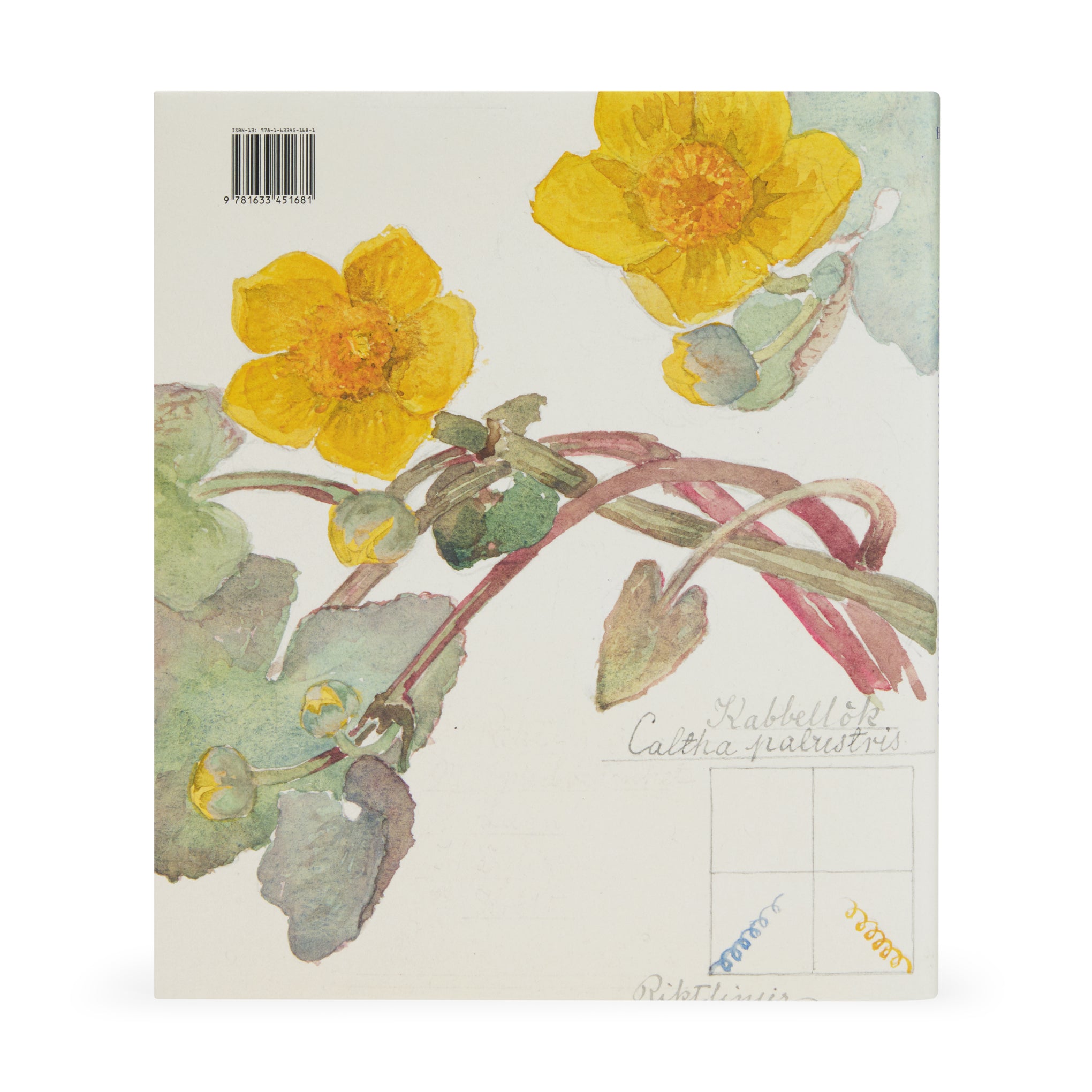 Hilma af Klint: What Stands Behind the Flowers – Hardcover - Image 4