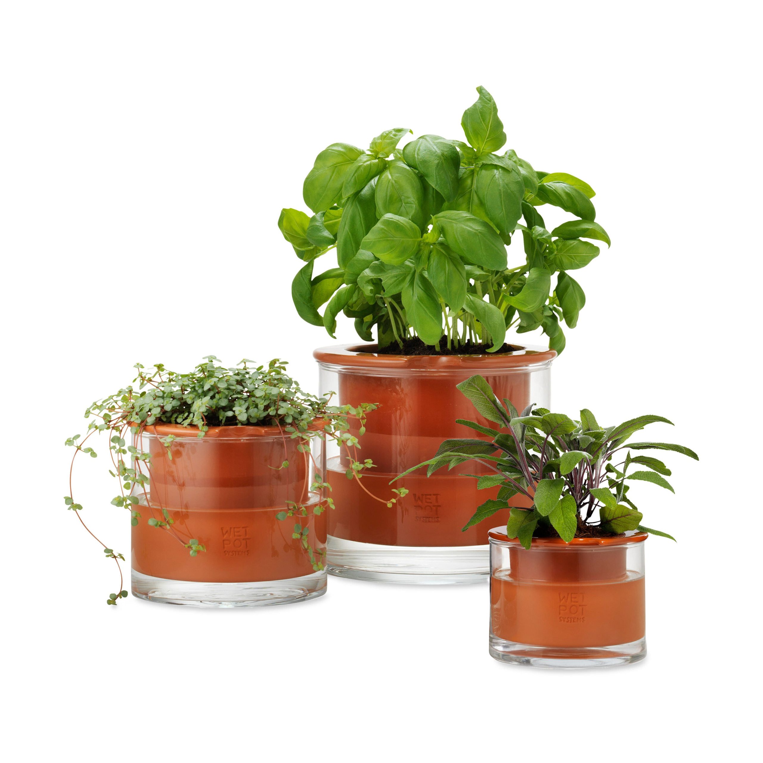 Self-Watering Wet Pots - Medium - Image 5