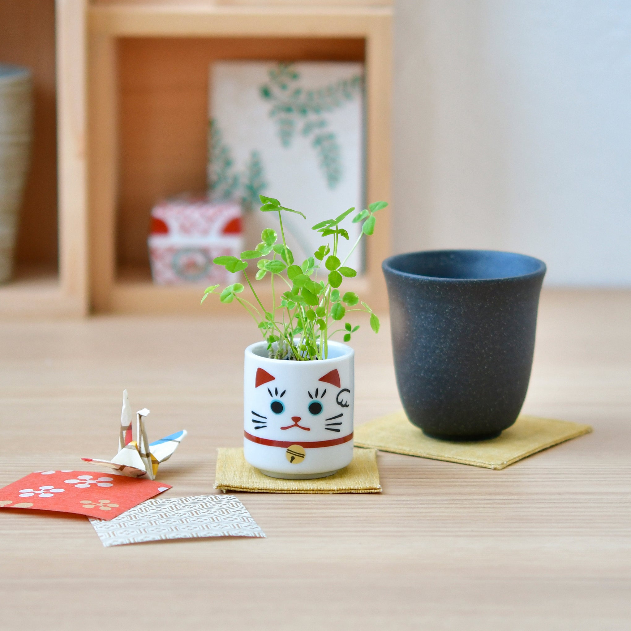 Lucky Mini Planter Kit - Cat / Clover - Image 2