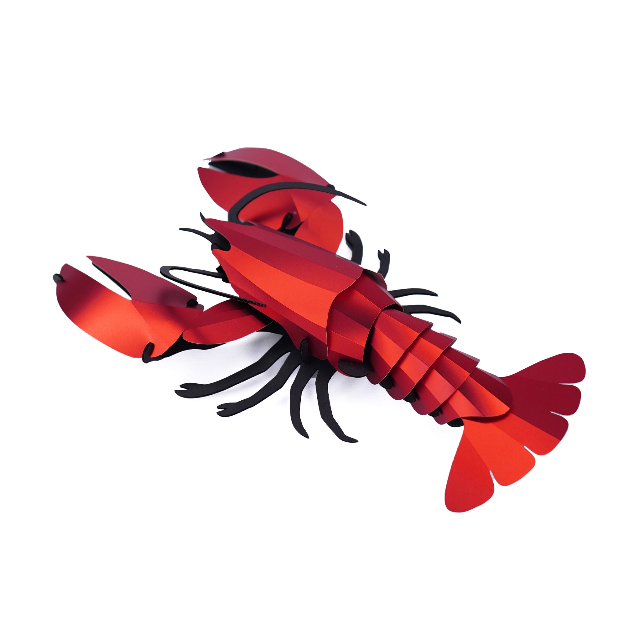 Assembli Shop DIY Reflective Paper Kit - Lobster - Image 2