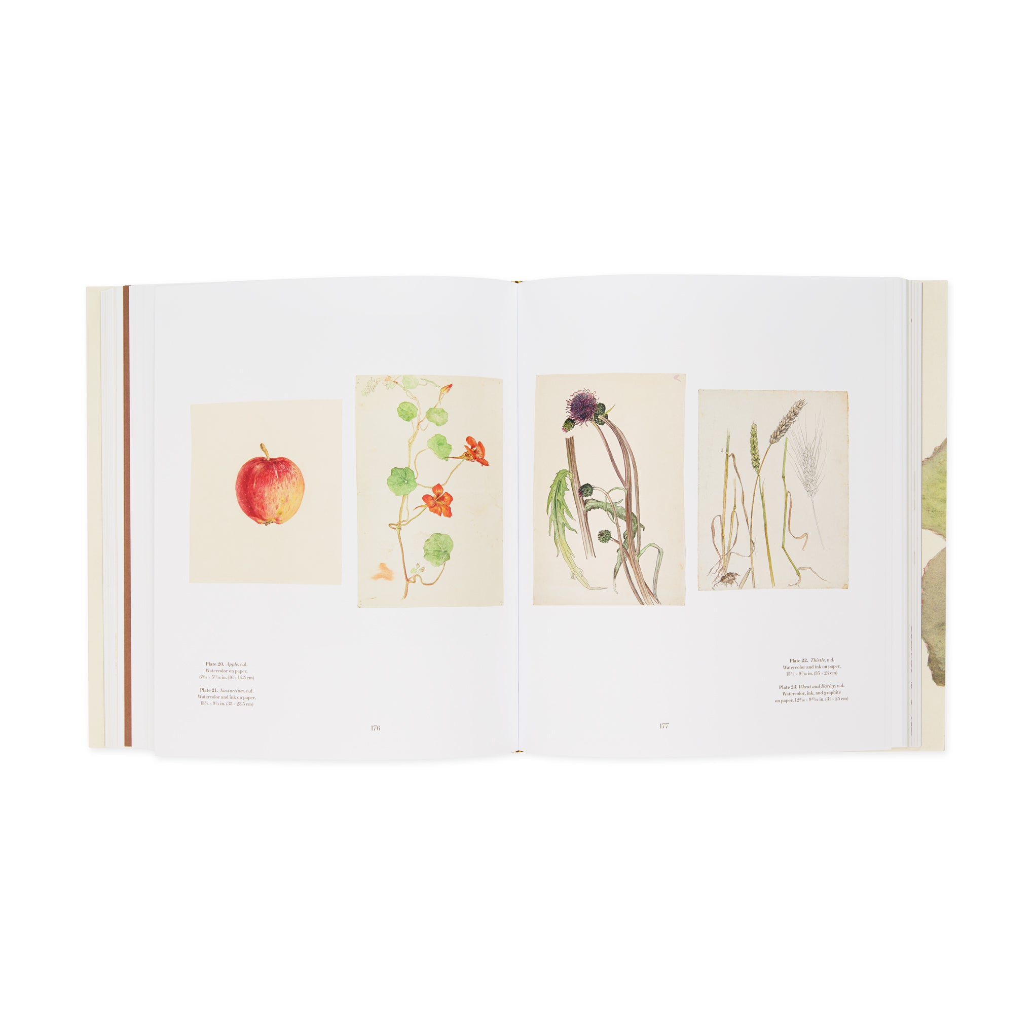 Hilma af Klint: What Stands Behind the Flowers – Hardcover - Image 7