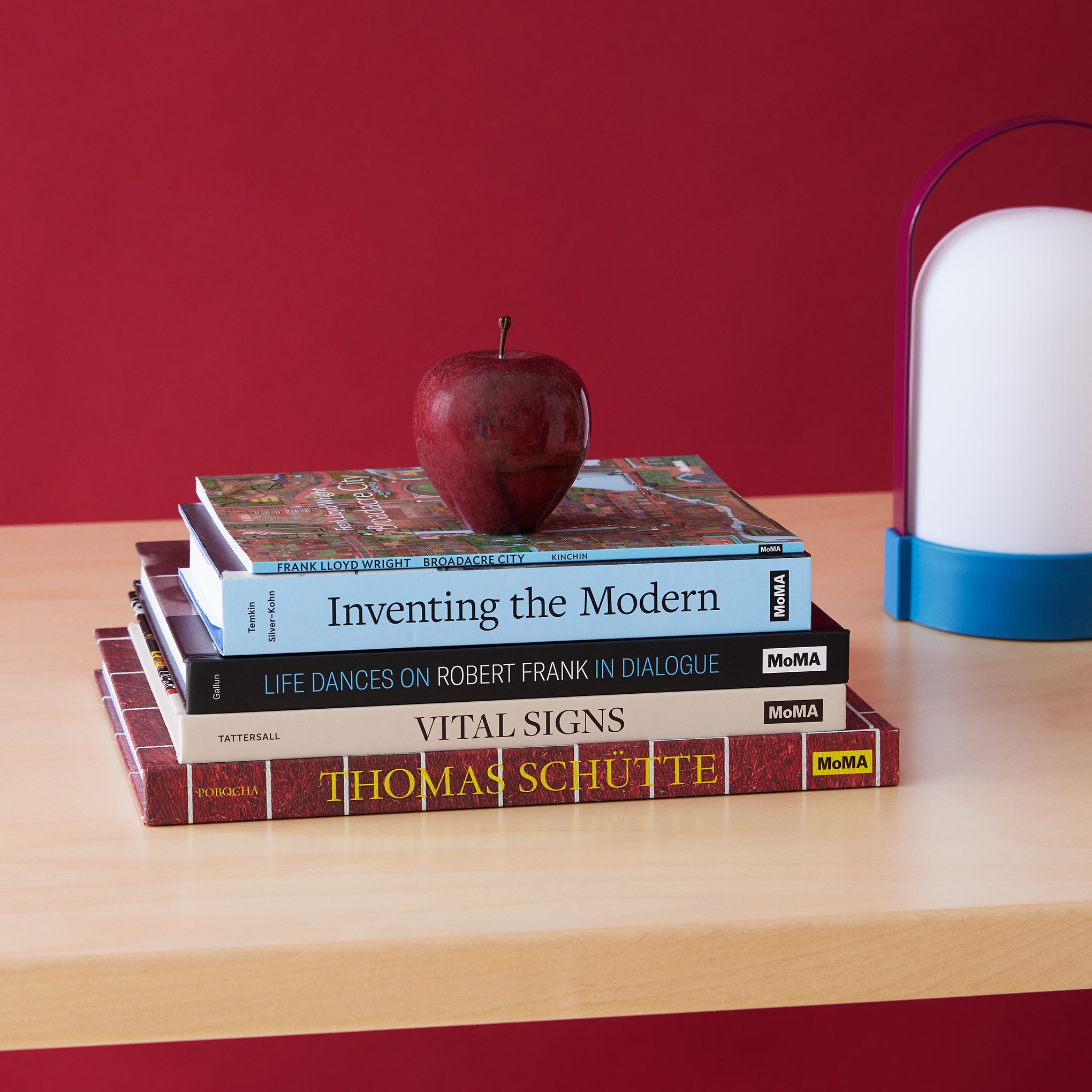 Life Dances On: Robert Frank in Dialogue – Hardcover - Image 7