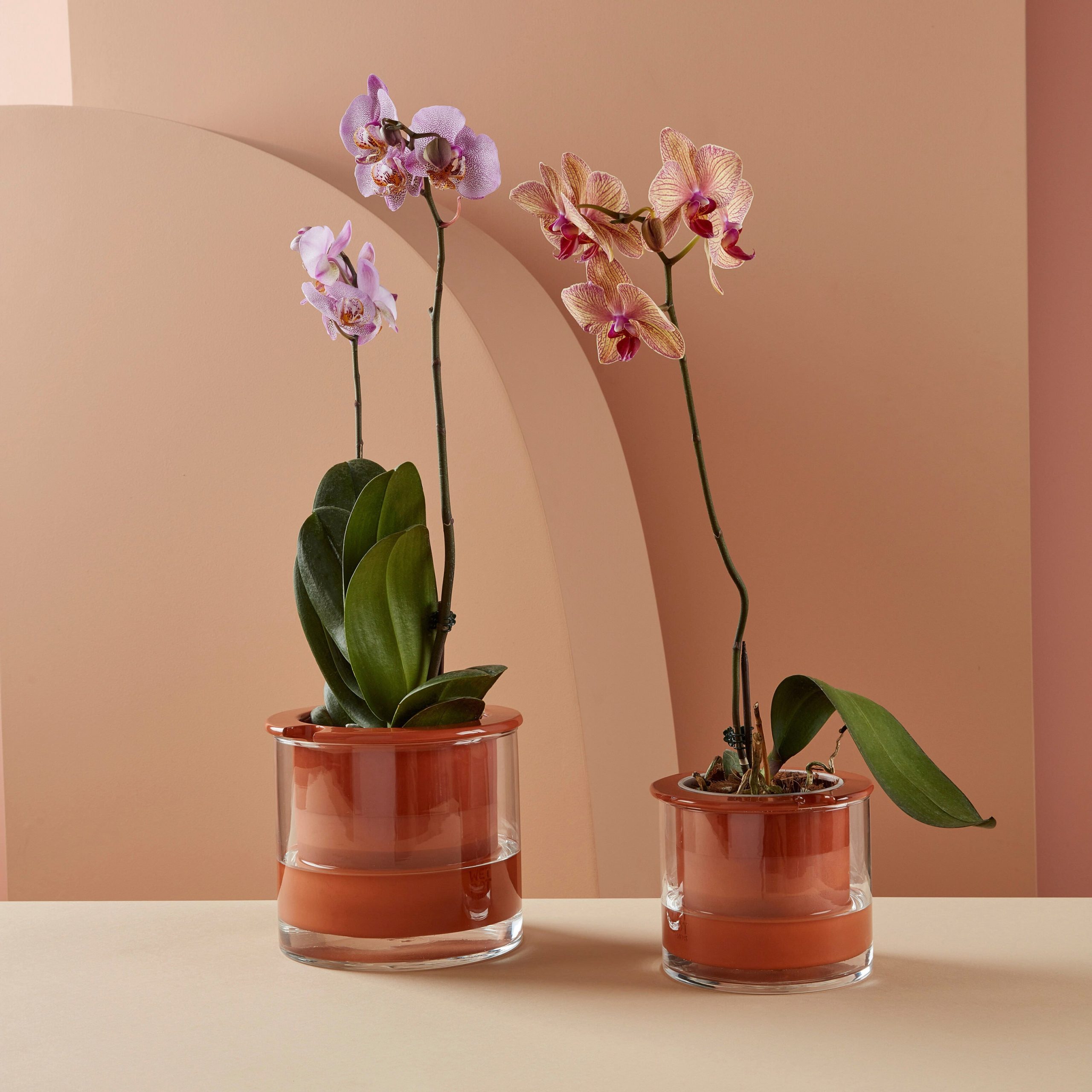 Self-Watering Wet Pots - Medium - Image 3